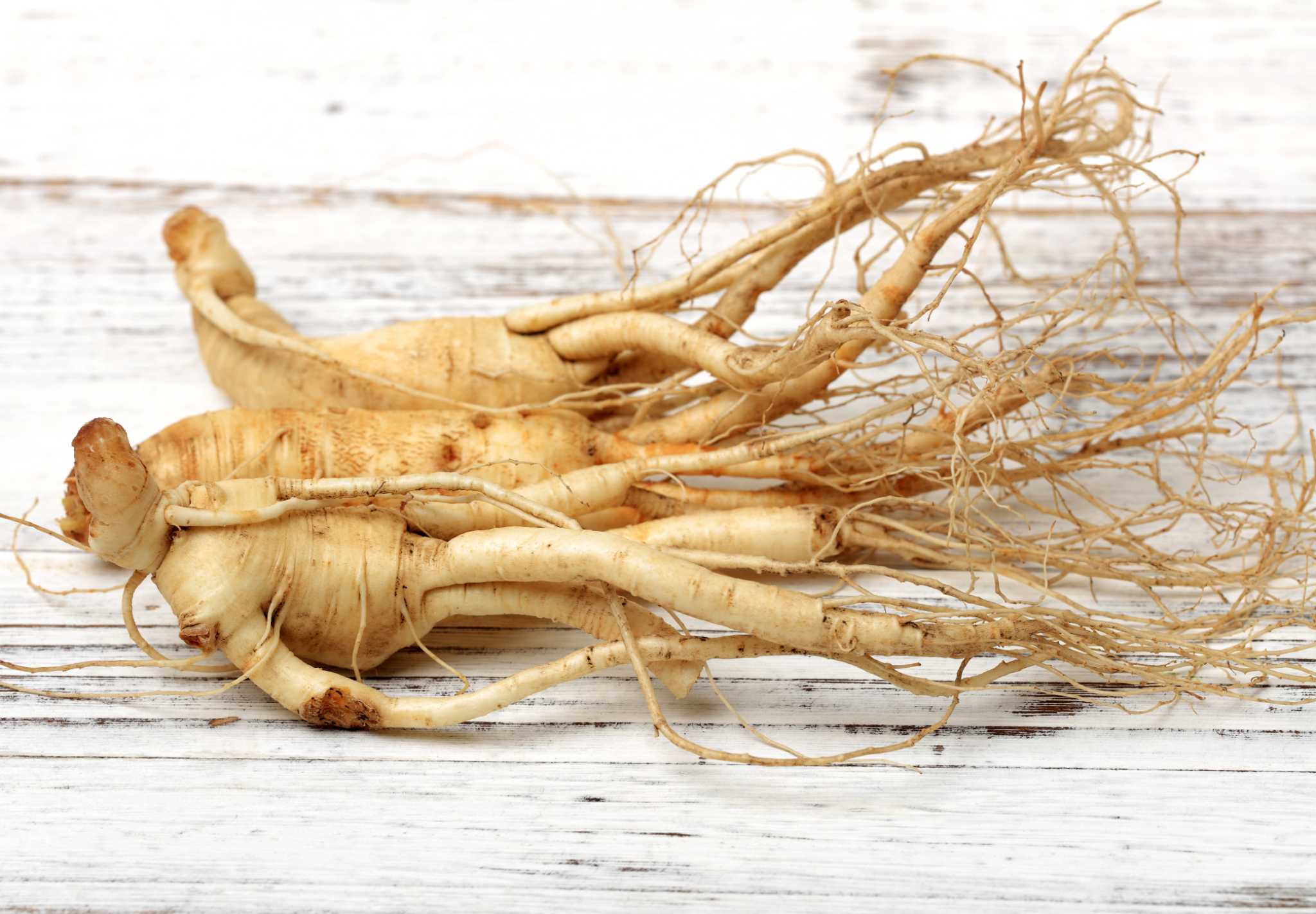 Benefits of Korean Ginseng Tea