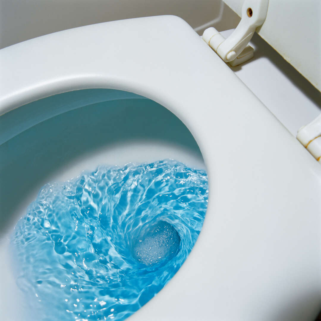 How to Clean a Moldy Toilet Bowl