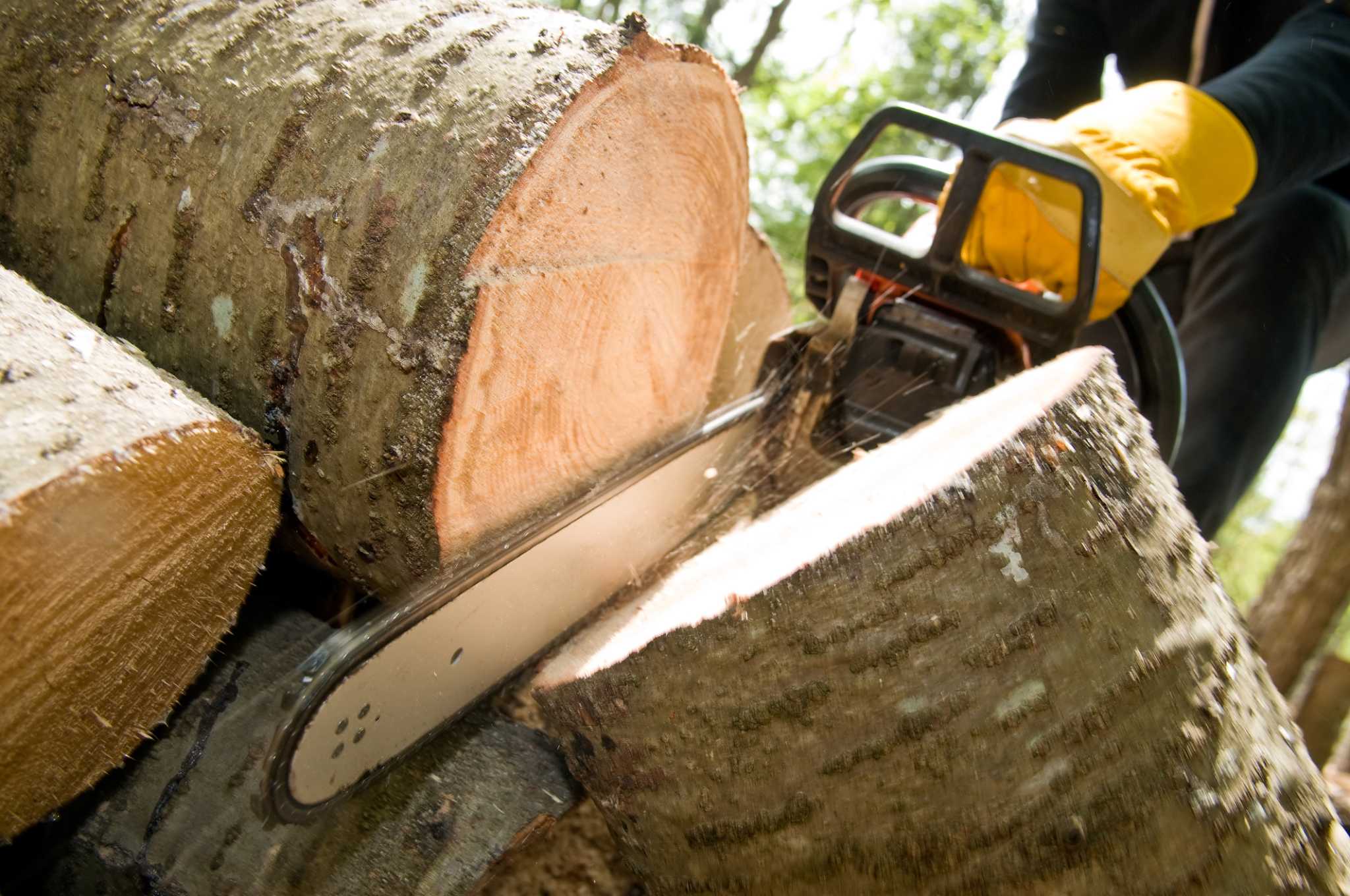 Black Decker Alligator Chain Saw How To Fix Adjust Chain 