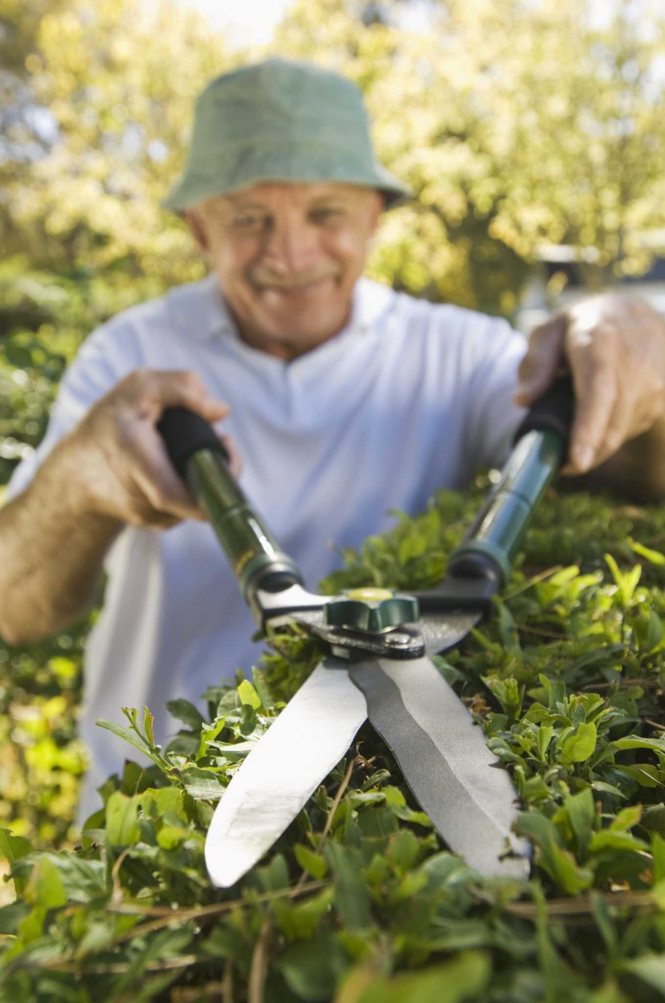 How to Clean Plant Residue from Hedge Shears