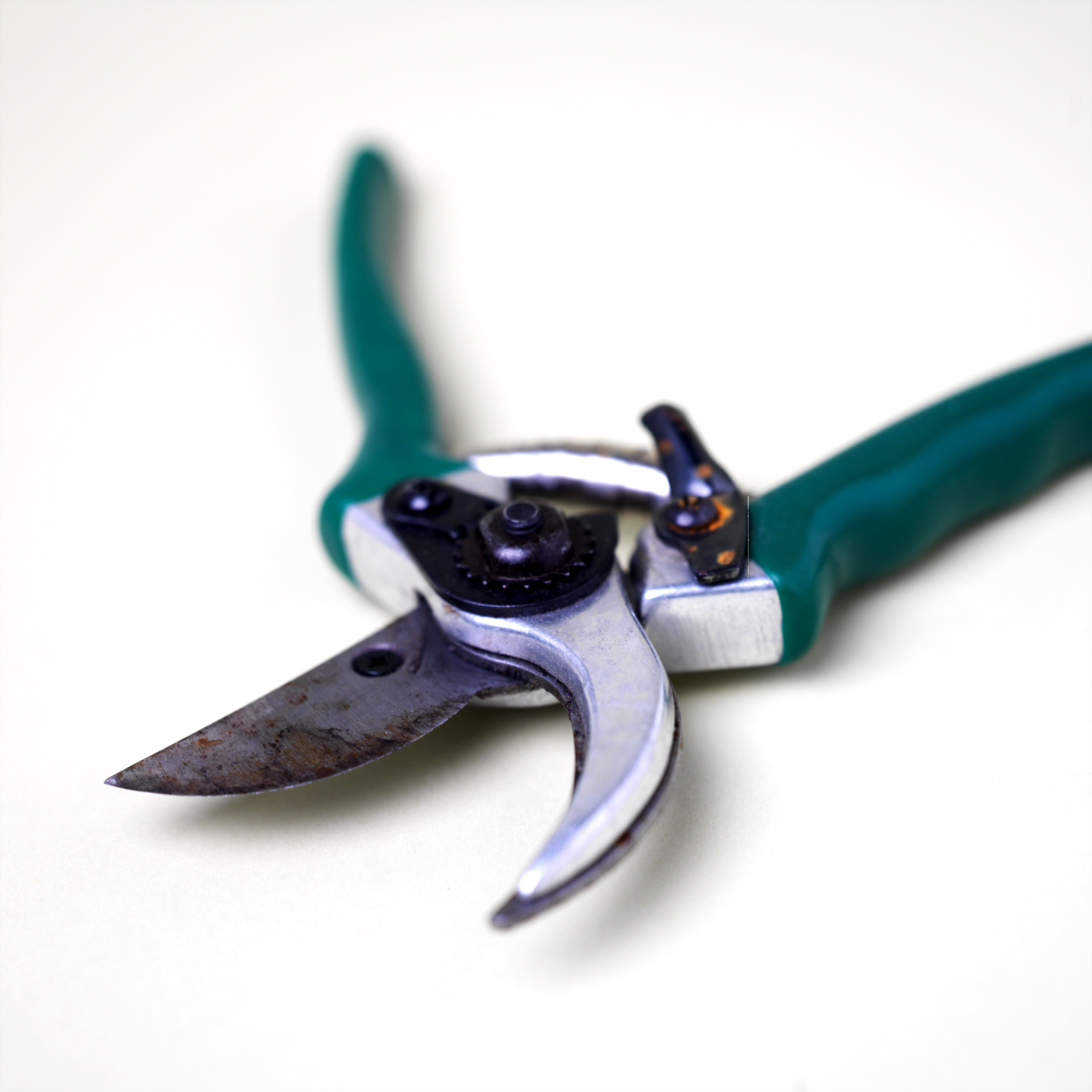 How to Clean and Care for Garden Pruners and Secateurs