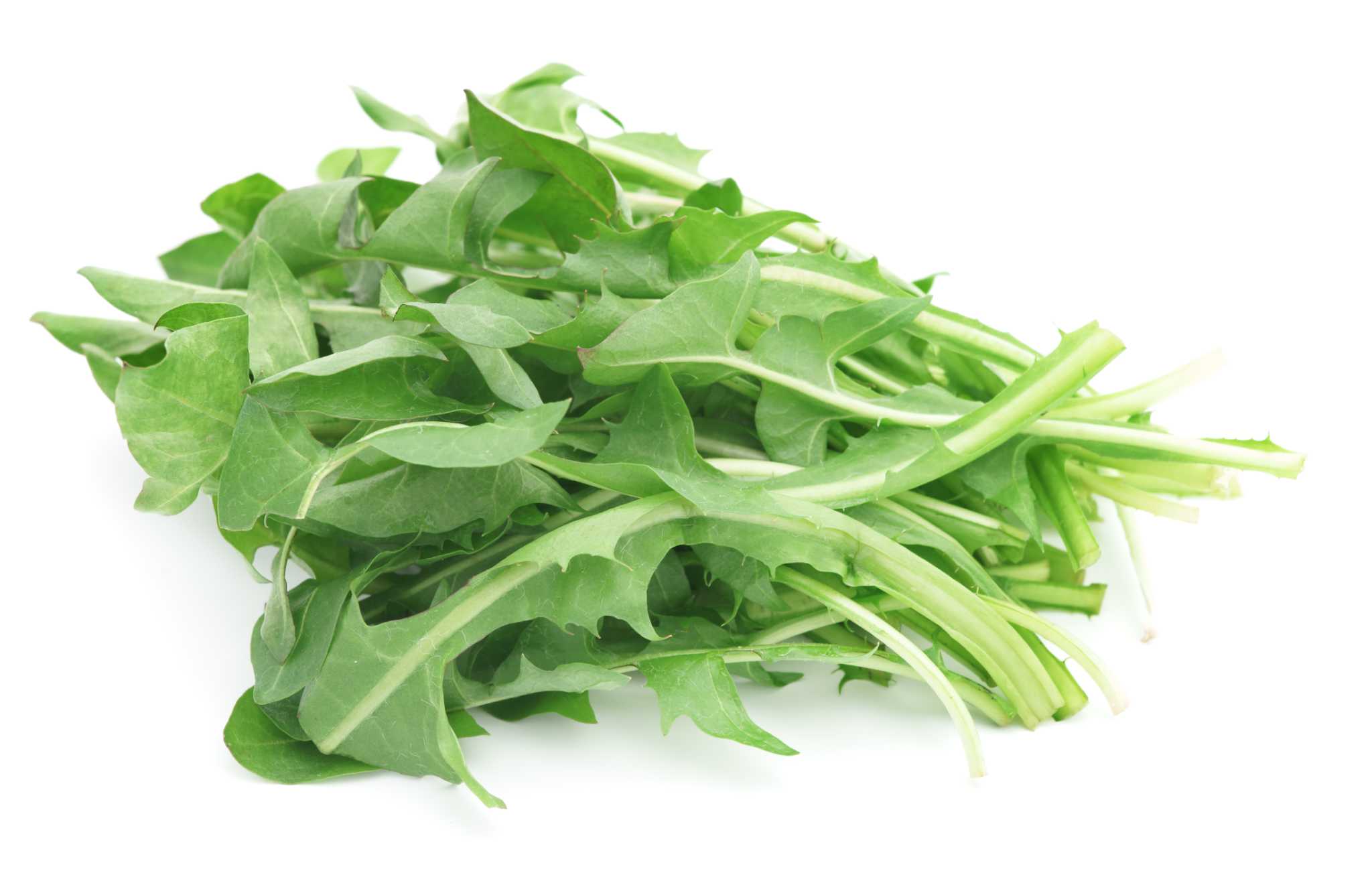 Can You Eat Dandelion Greens Raw