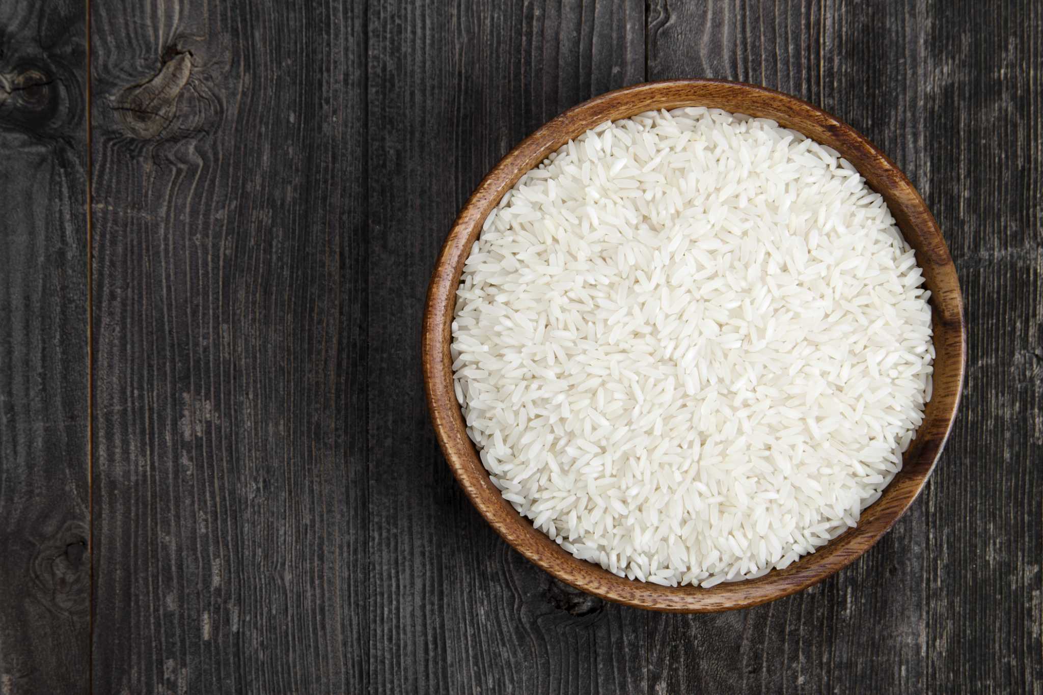Why Are Some Foods Digestible & Others Aren't?