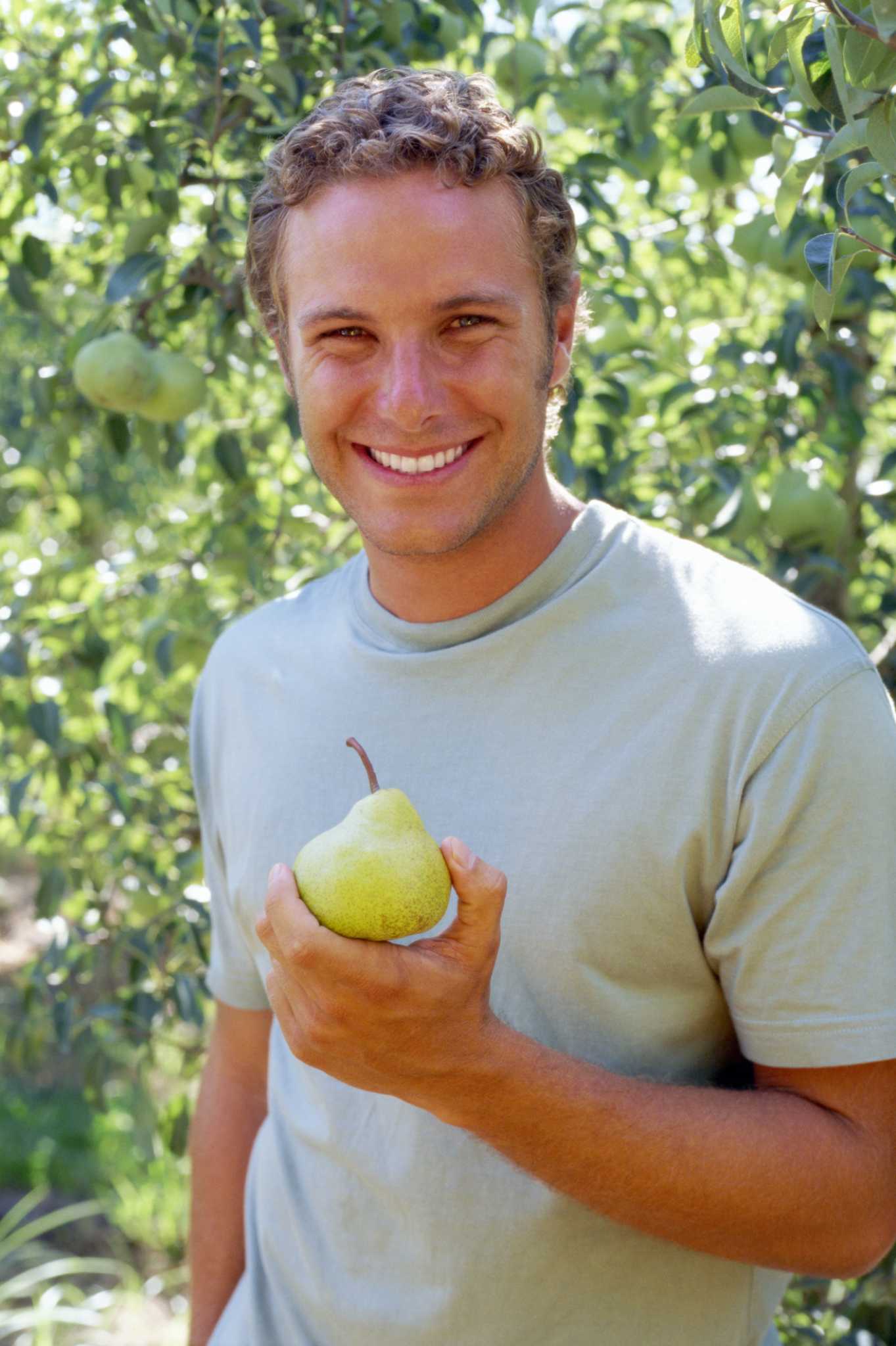 Fuji Apple, Malus domestica 'Fuji', Monrovia Plant