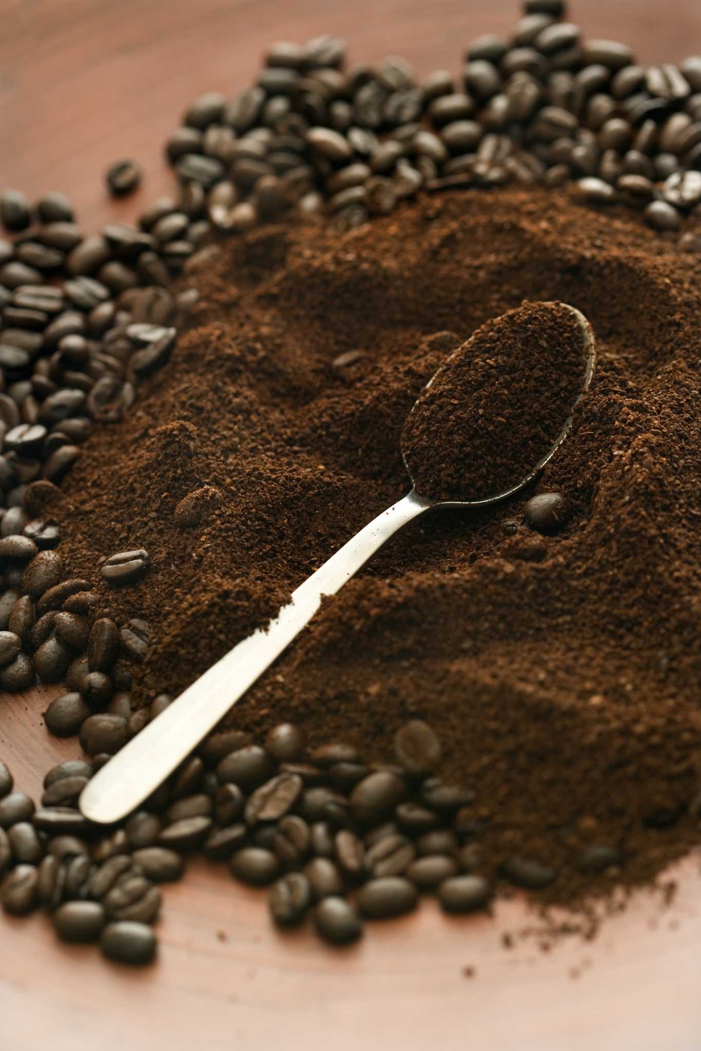 Will Coffee Grounds Get Rid of Ground Moles?