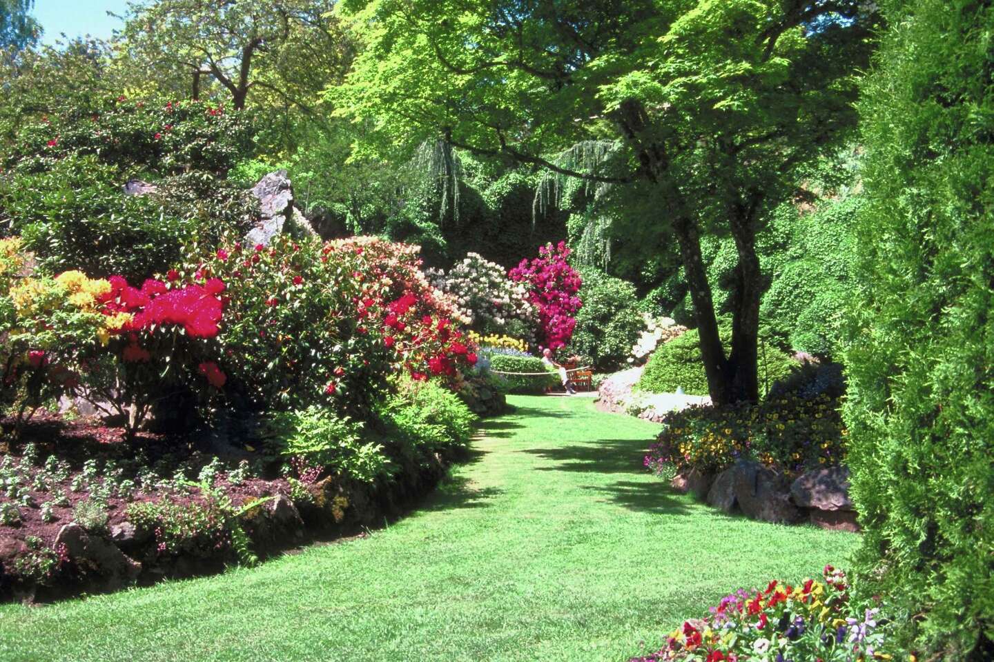 Repelling Ants & Landscaping