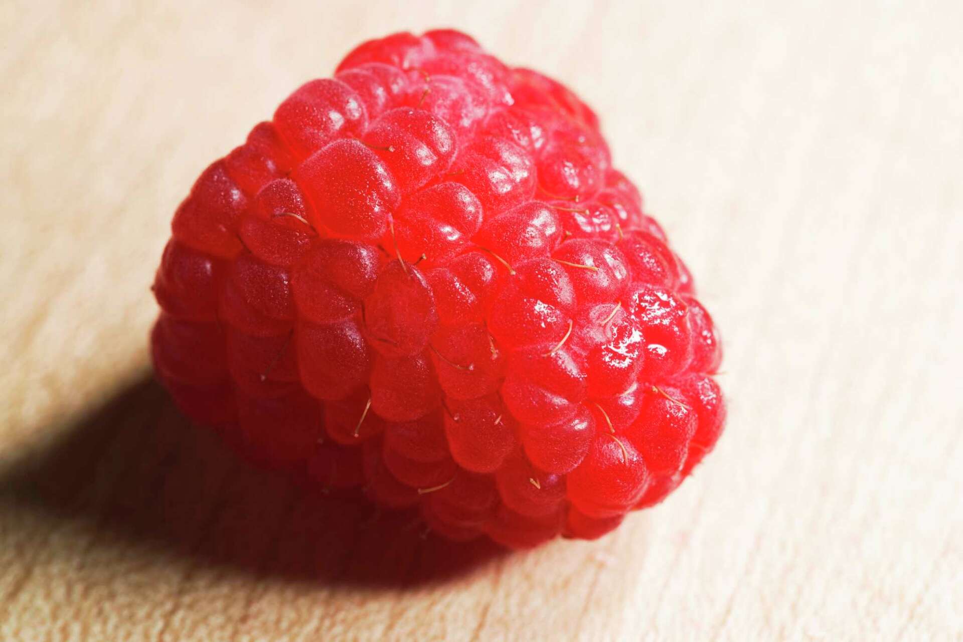 Common Disease or Fungus in Thornless Raspberry Plants