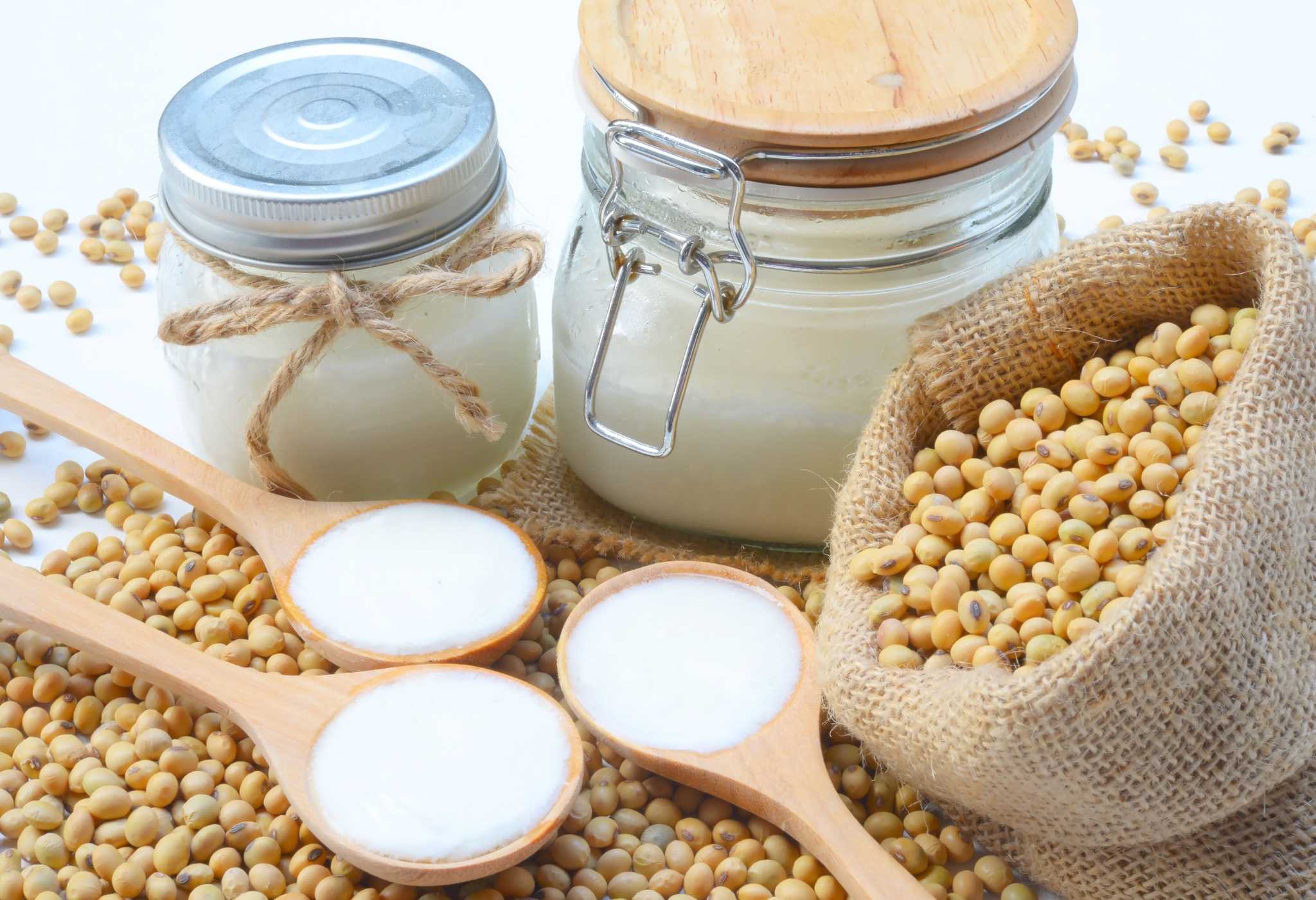 Dairy Free Vs. Lactose Free