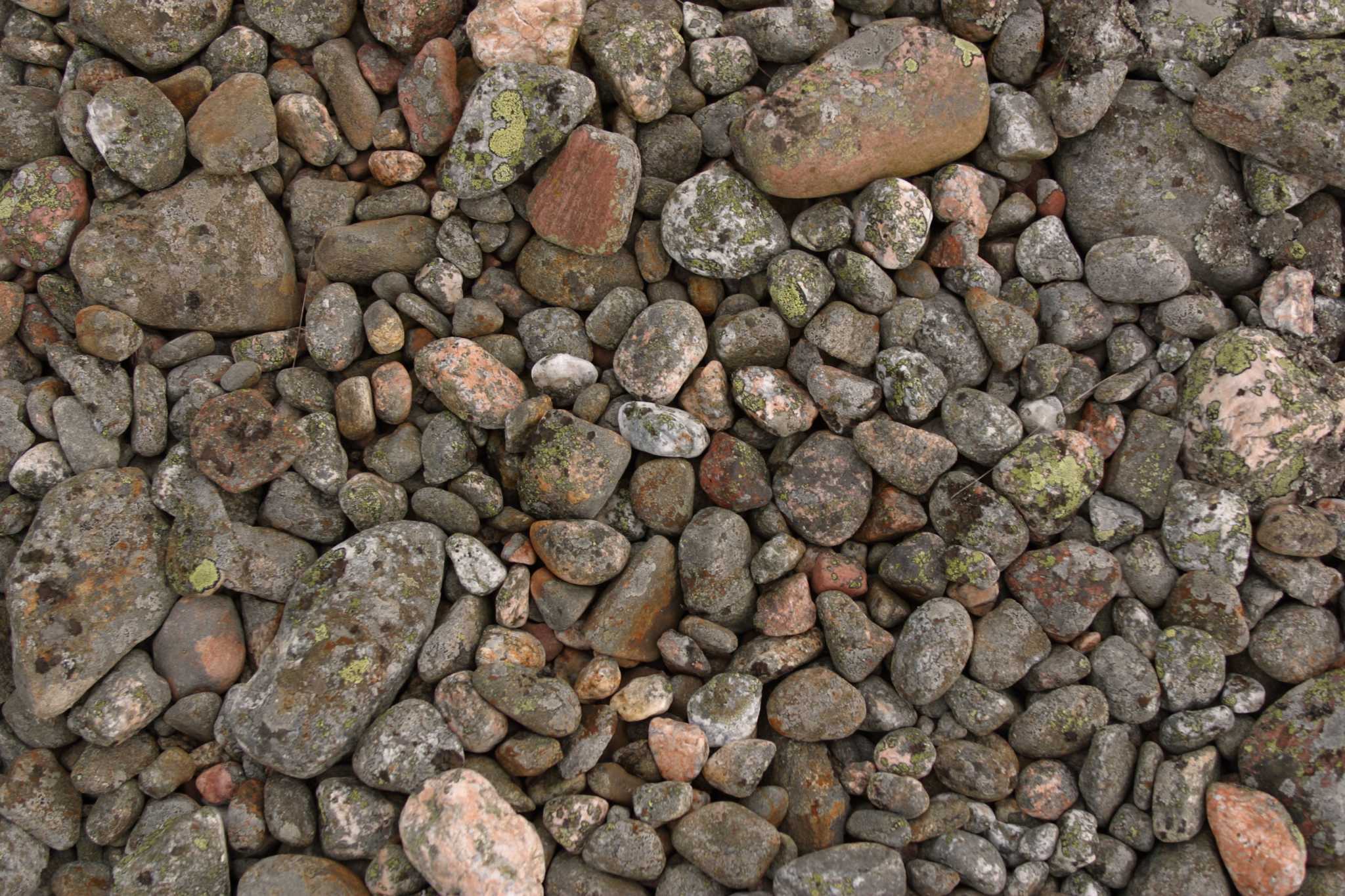 The Comparisons Between Rubber Mulch and Gravel