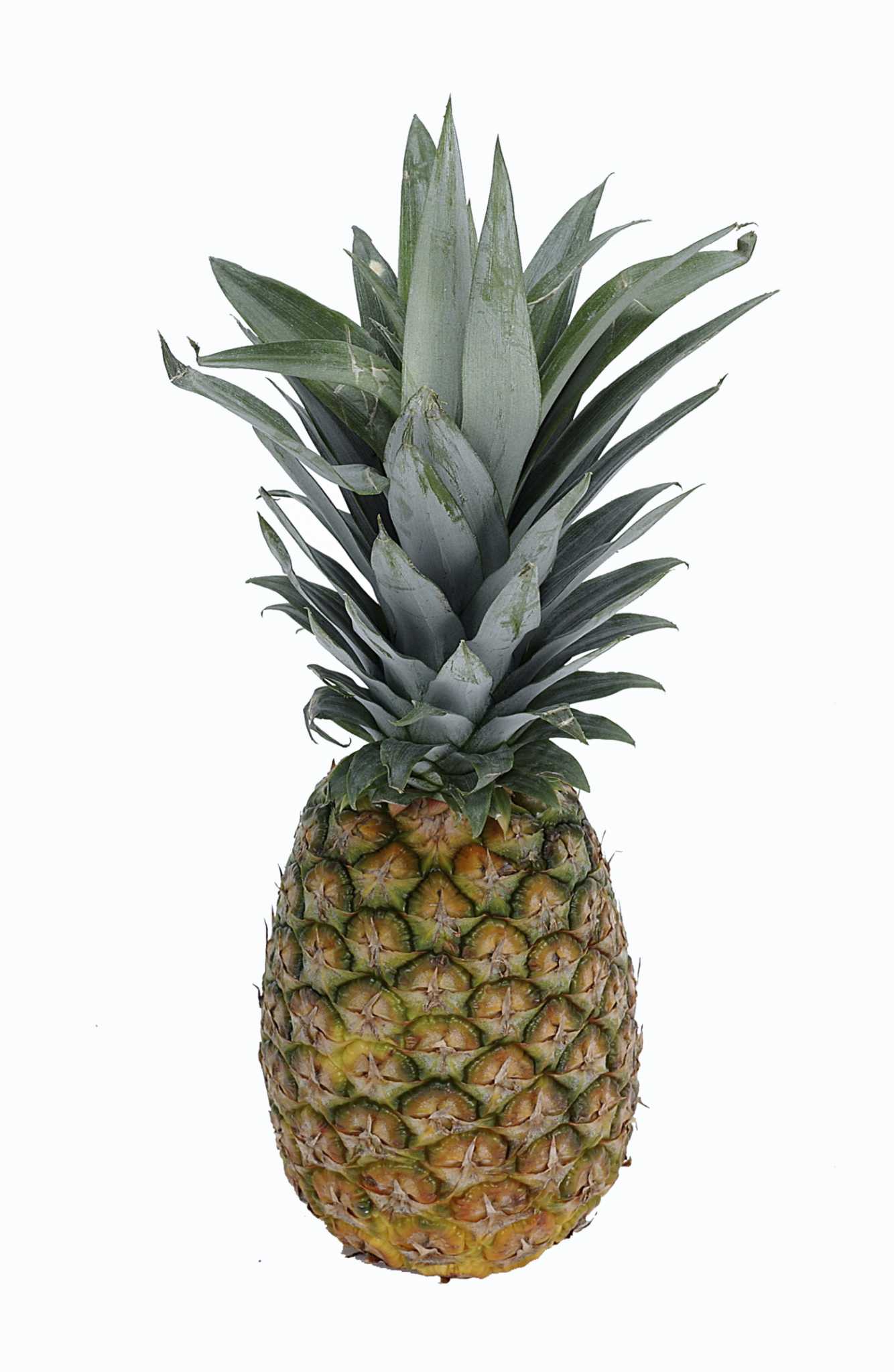 How to Compost Pineapples