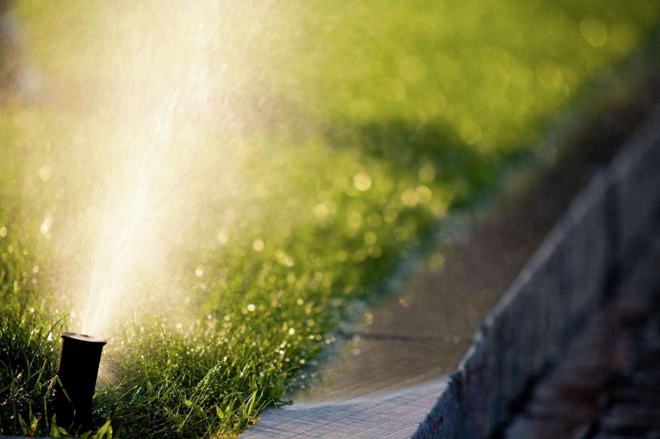 How to Prevent Grass From Growing Over Sprinkler Heads