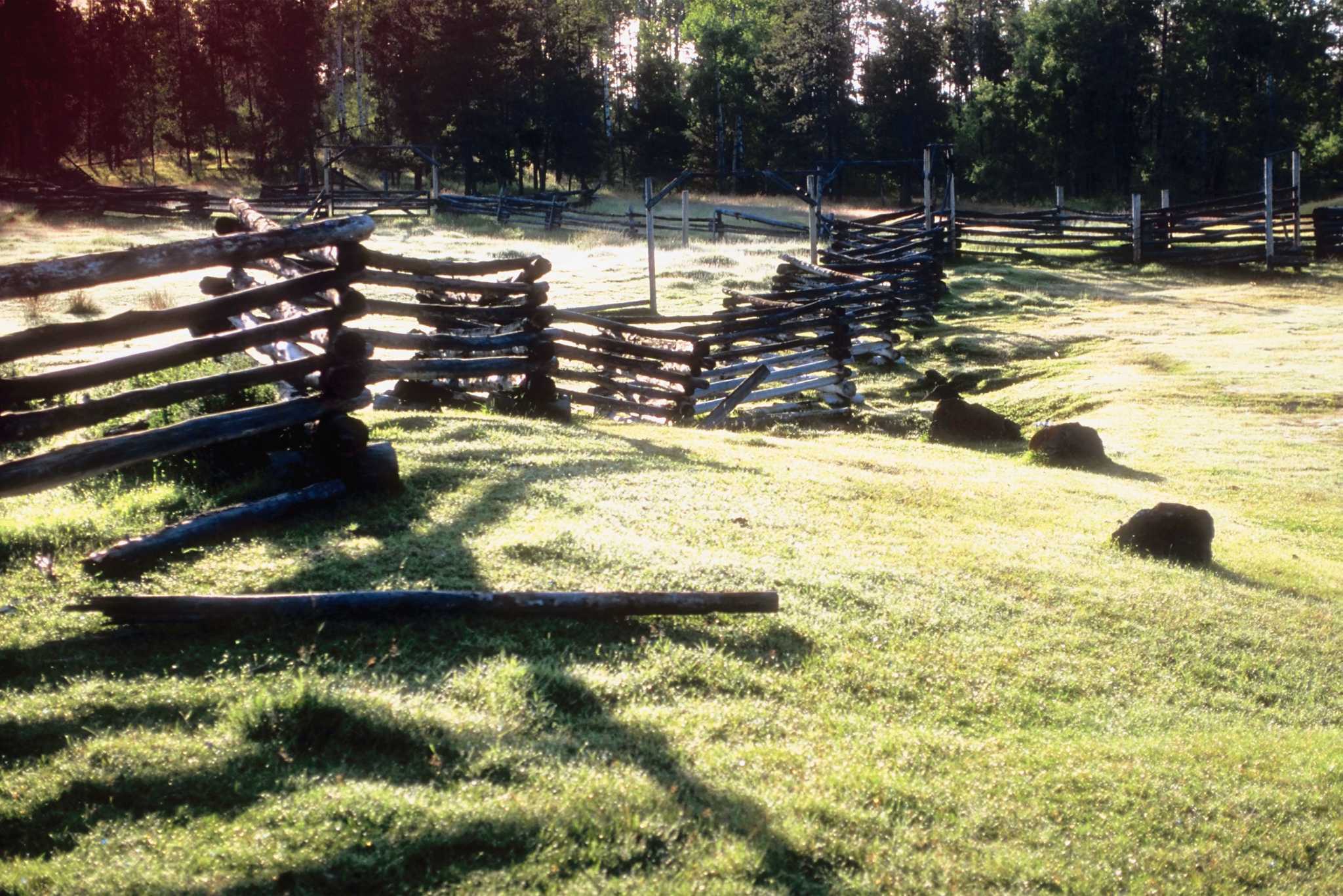 Rustic Log Fence Ideas   RawImage 