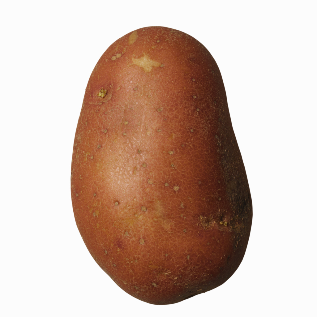 Controlling Potato Scab With Molasses