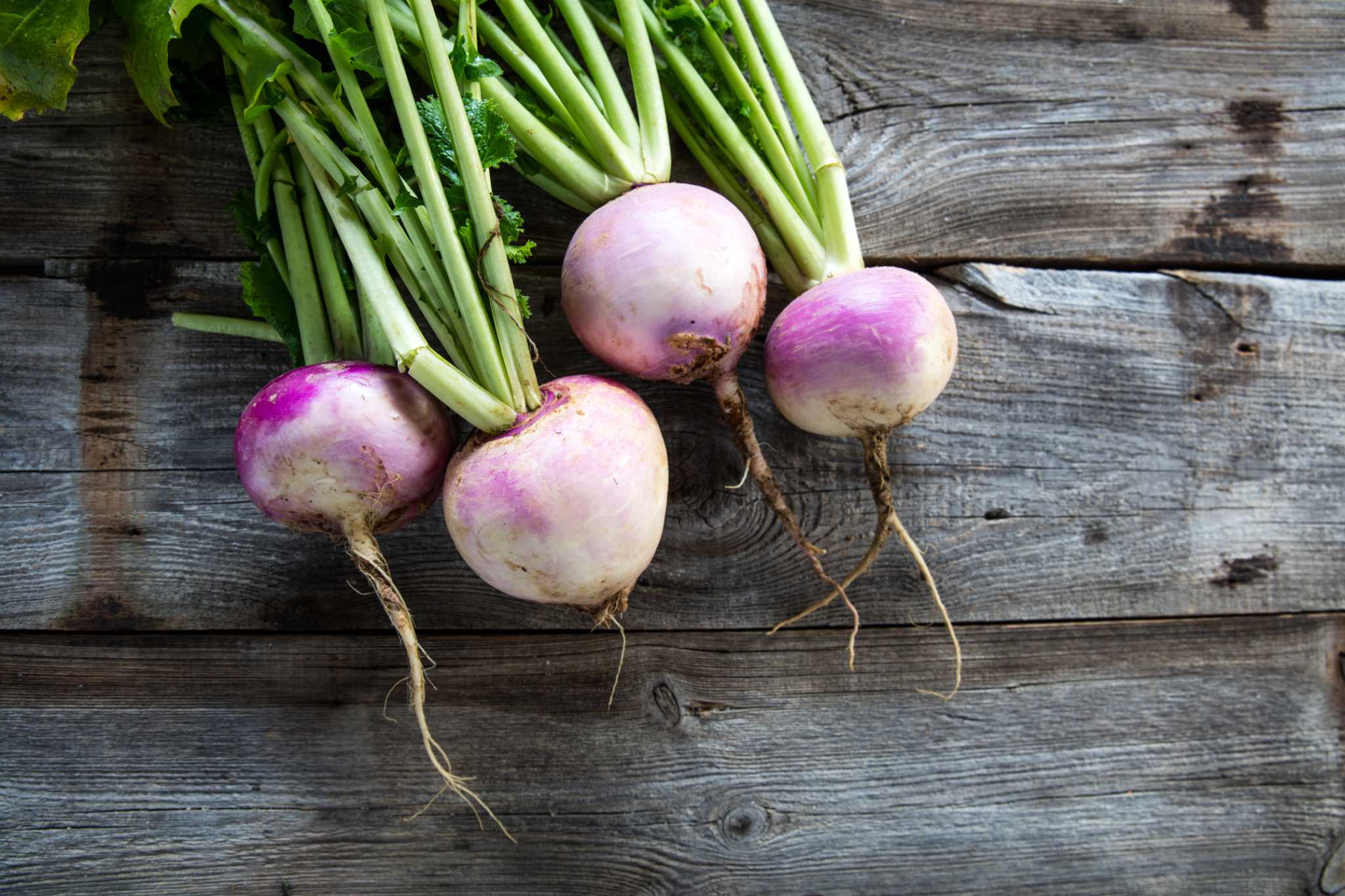 Do Turnips Have Carbs?