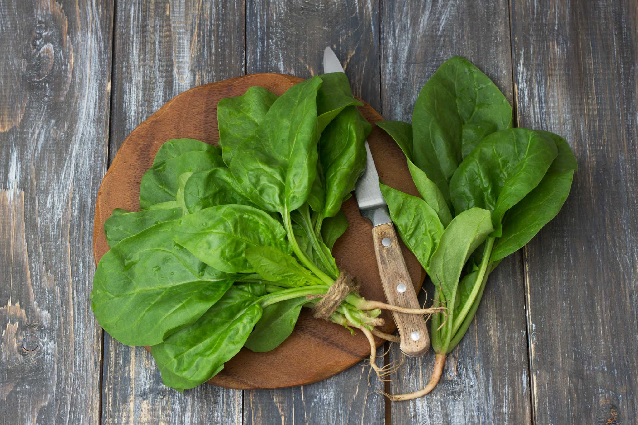 Does Spinach Have More Protein Than Meat?