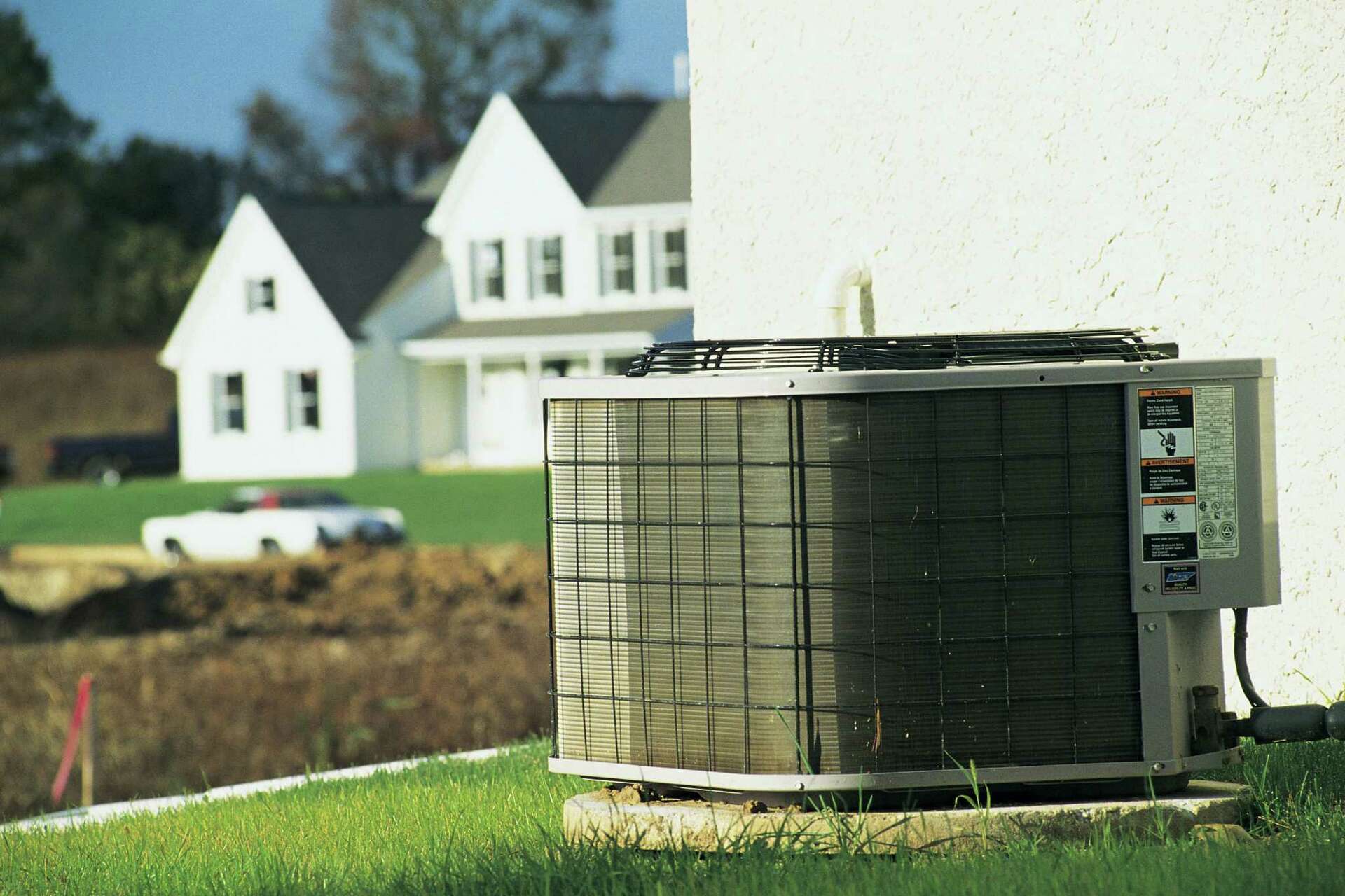 Plants to Grow in Front of an AC Unit