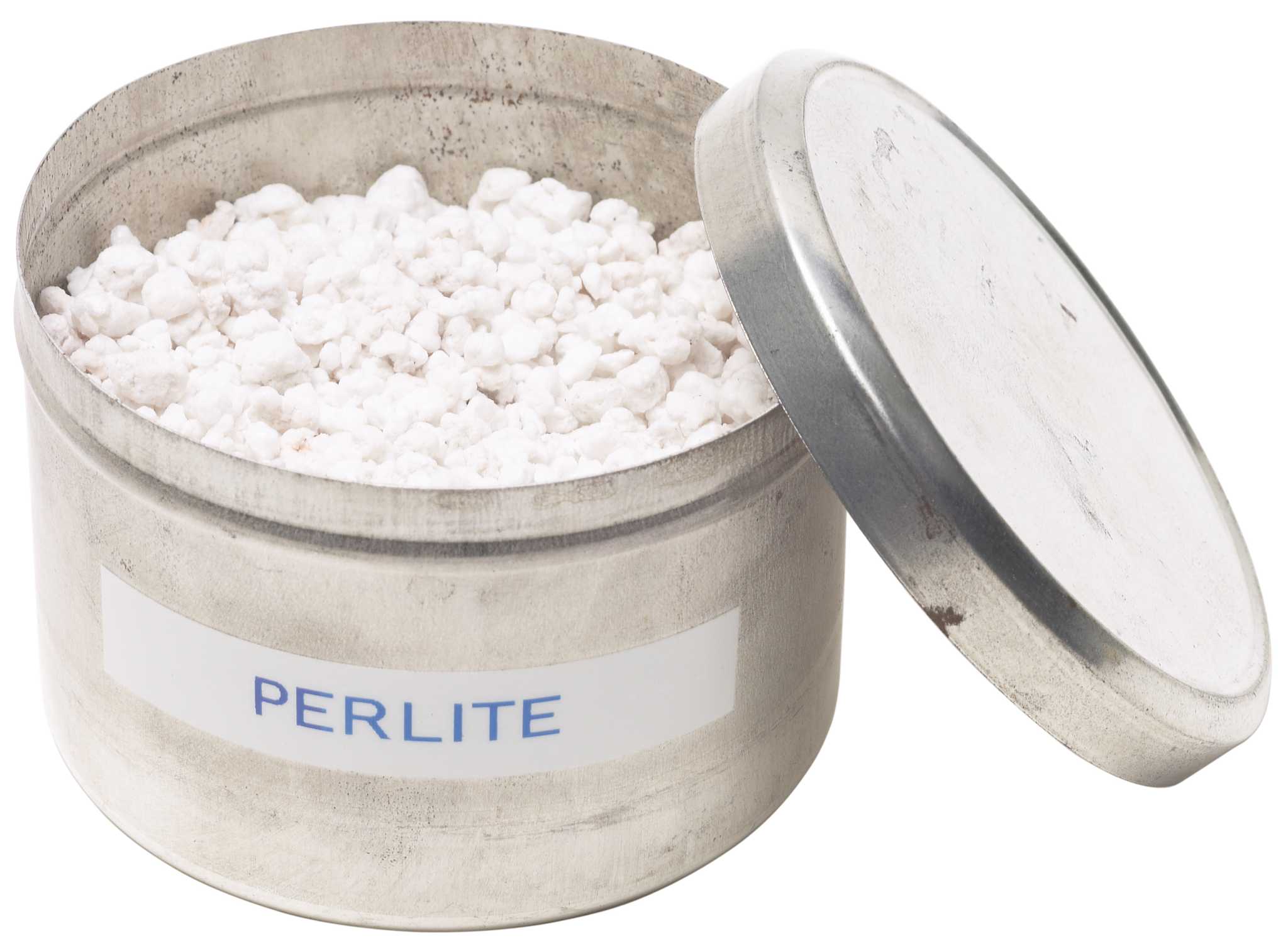 What Is This White Stuff In My Soil?? - All About Perlite – Dahing