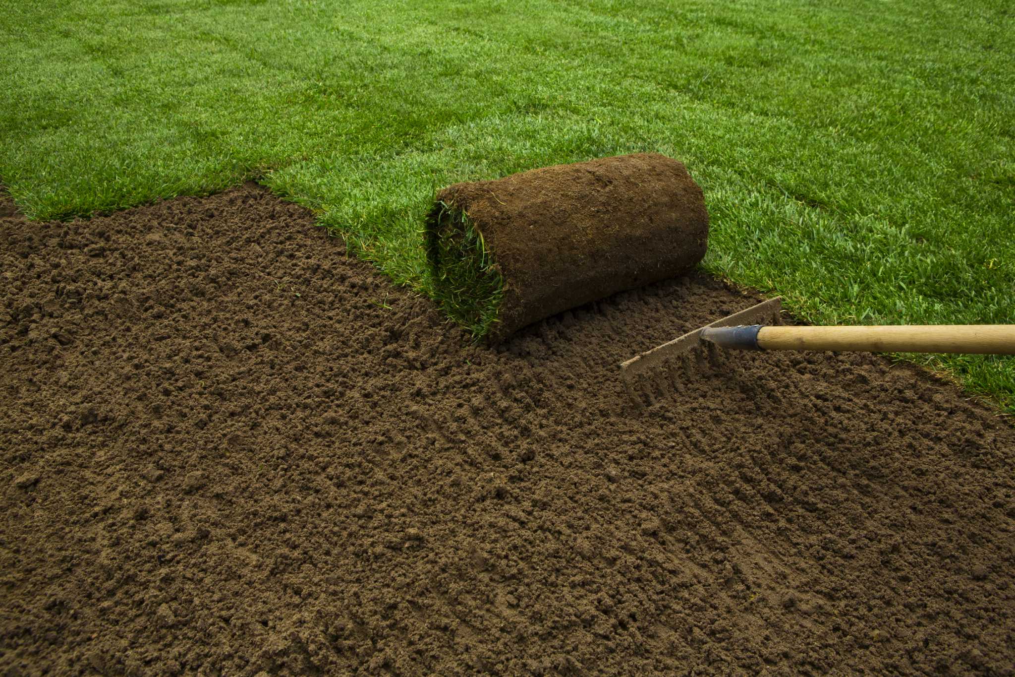 What to Cover New Grass Seed With Options for a Healthy Lawn