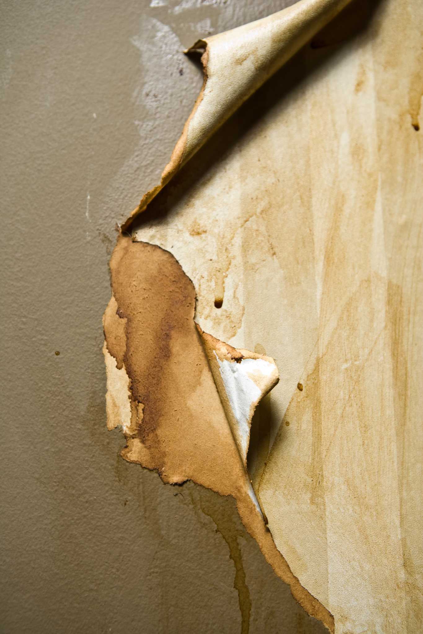 How To Fix And Paint A Damp Wall  Valspar Paint