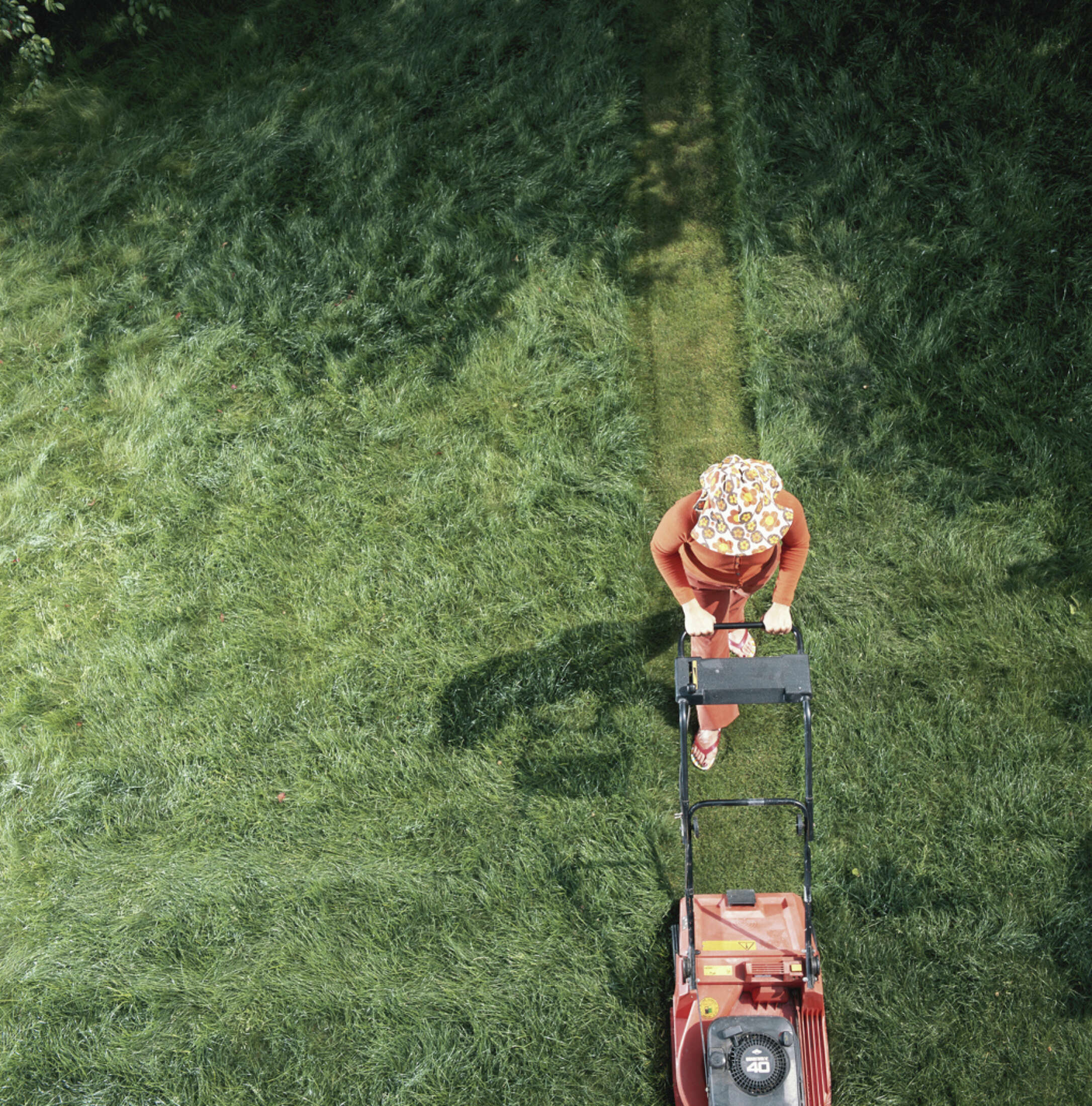 How to Plant Sod Grass Over Tree Stump Grindings