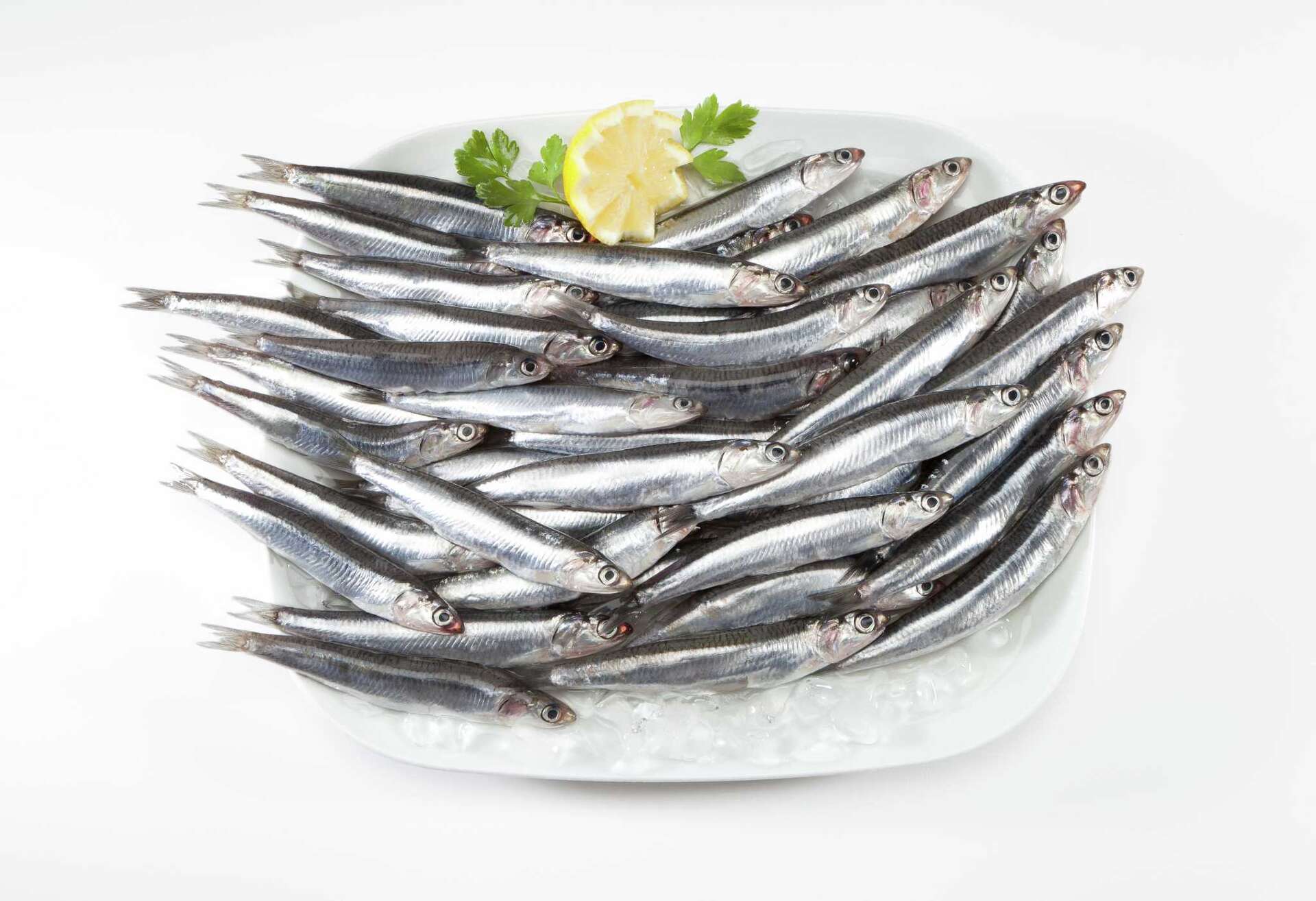 What Are the Health Benefits of Anchovies