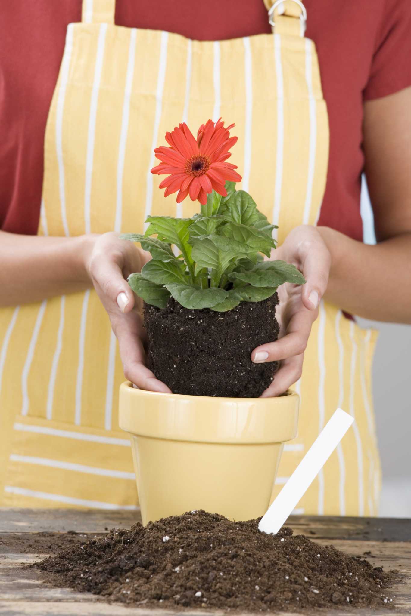 how-to-create-drainage-in-a-container