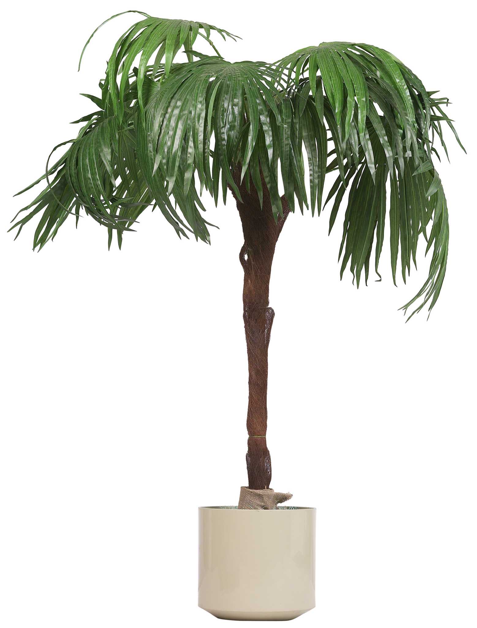 How to Grow Celery Hydroponically