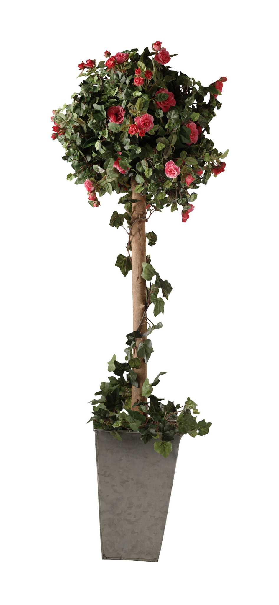 How to Make a Rose Bush Into a Tree How to Make a Rose Bush Into a Tree