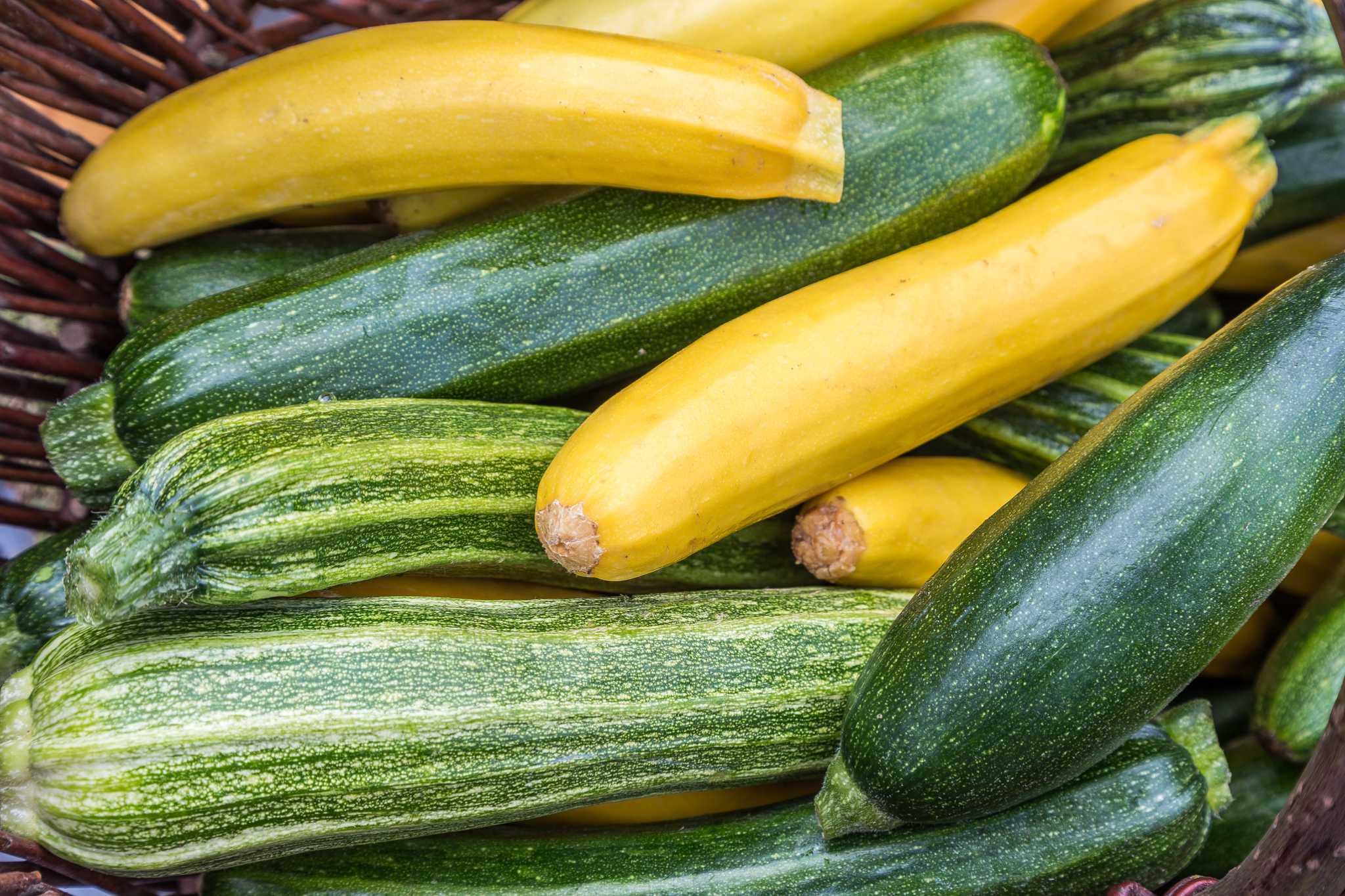 Why My Cucumbers & Zucchini Have Only Male Flowers