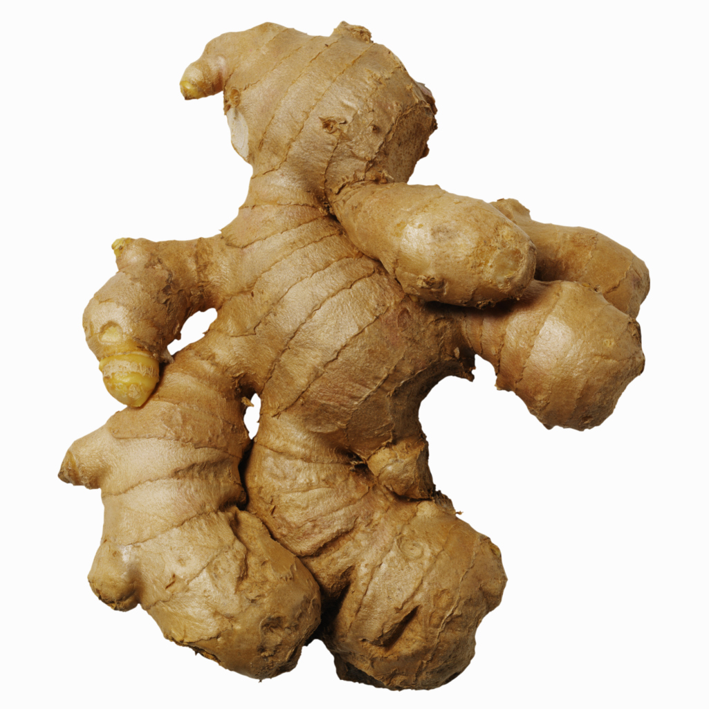 How To Cultivate Ginger