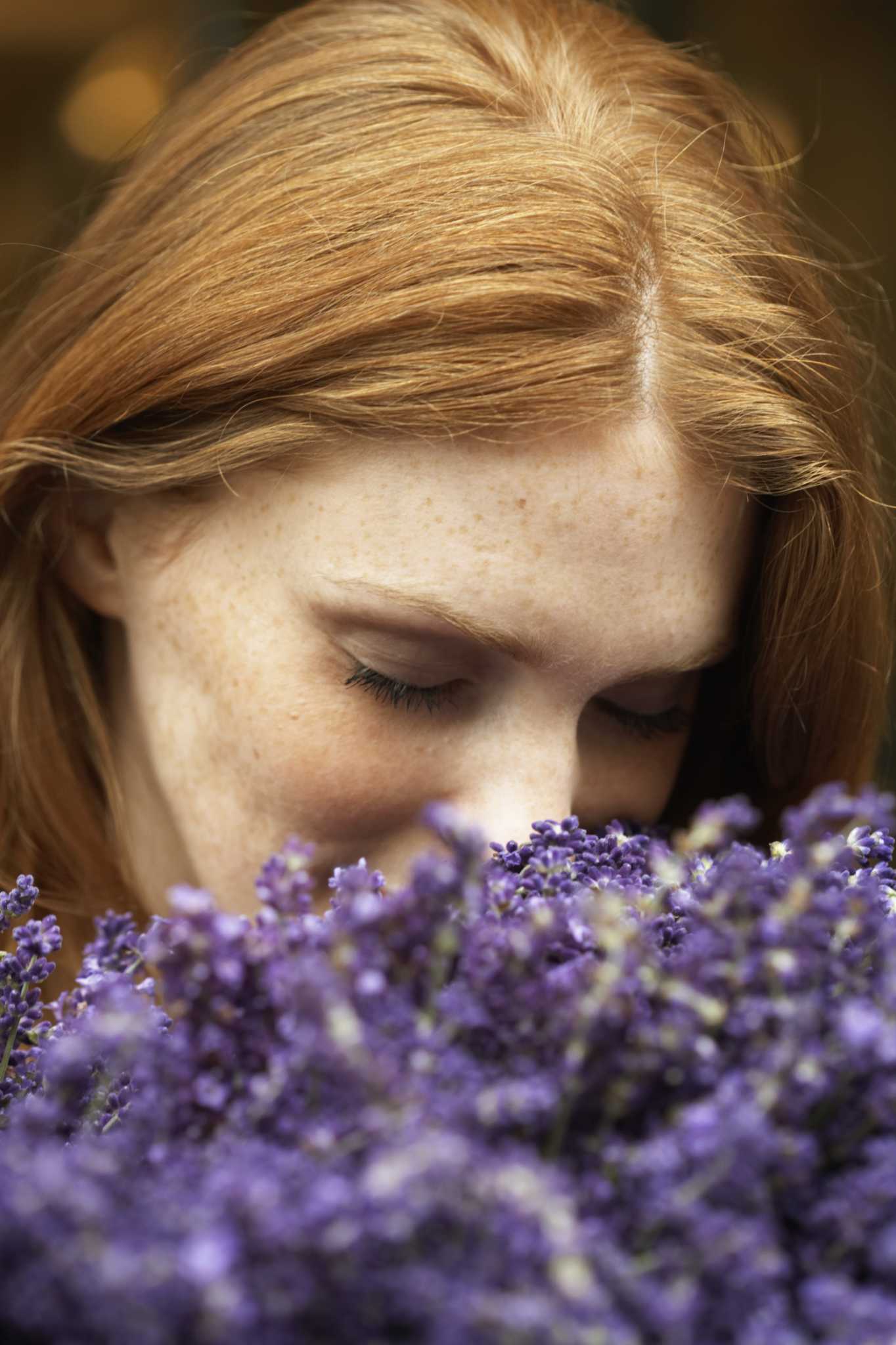 how-to-cut-back-lavender-flowers-that-have-bloomed