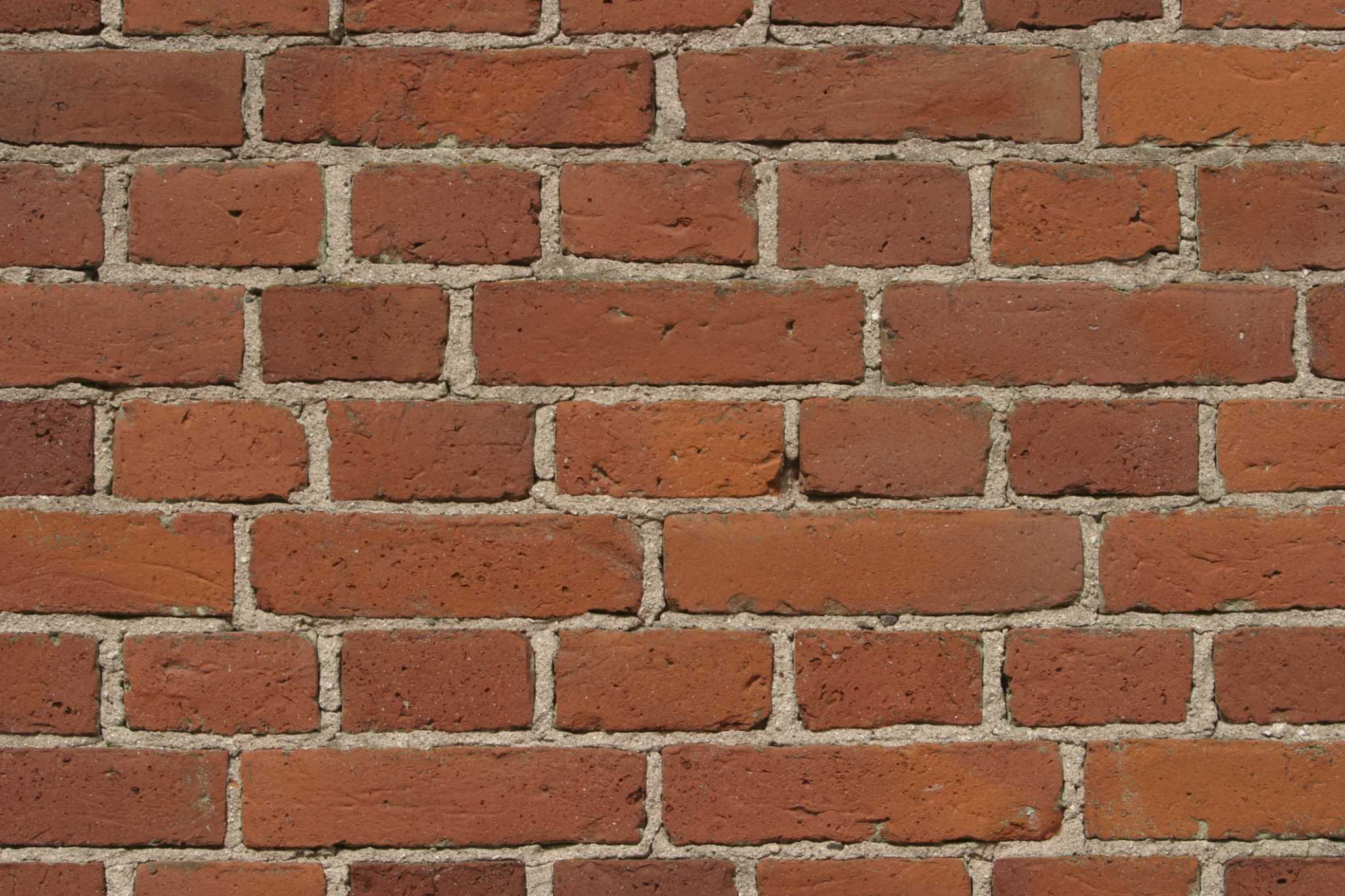 Installing A Pet Door In A Brick Wall at Christopher Thornton blog