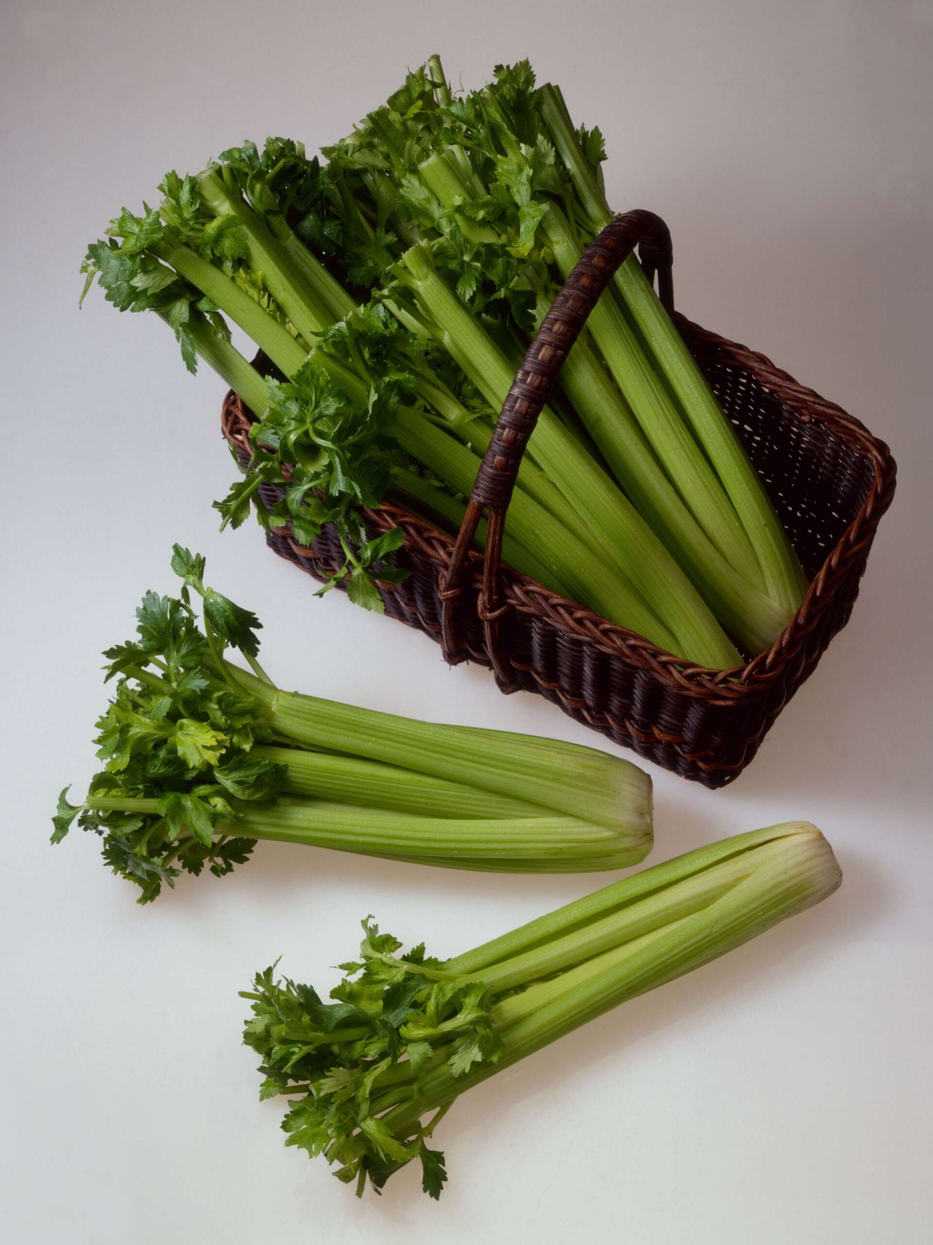 How to Cut Celery Plants