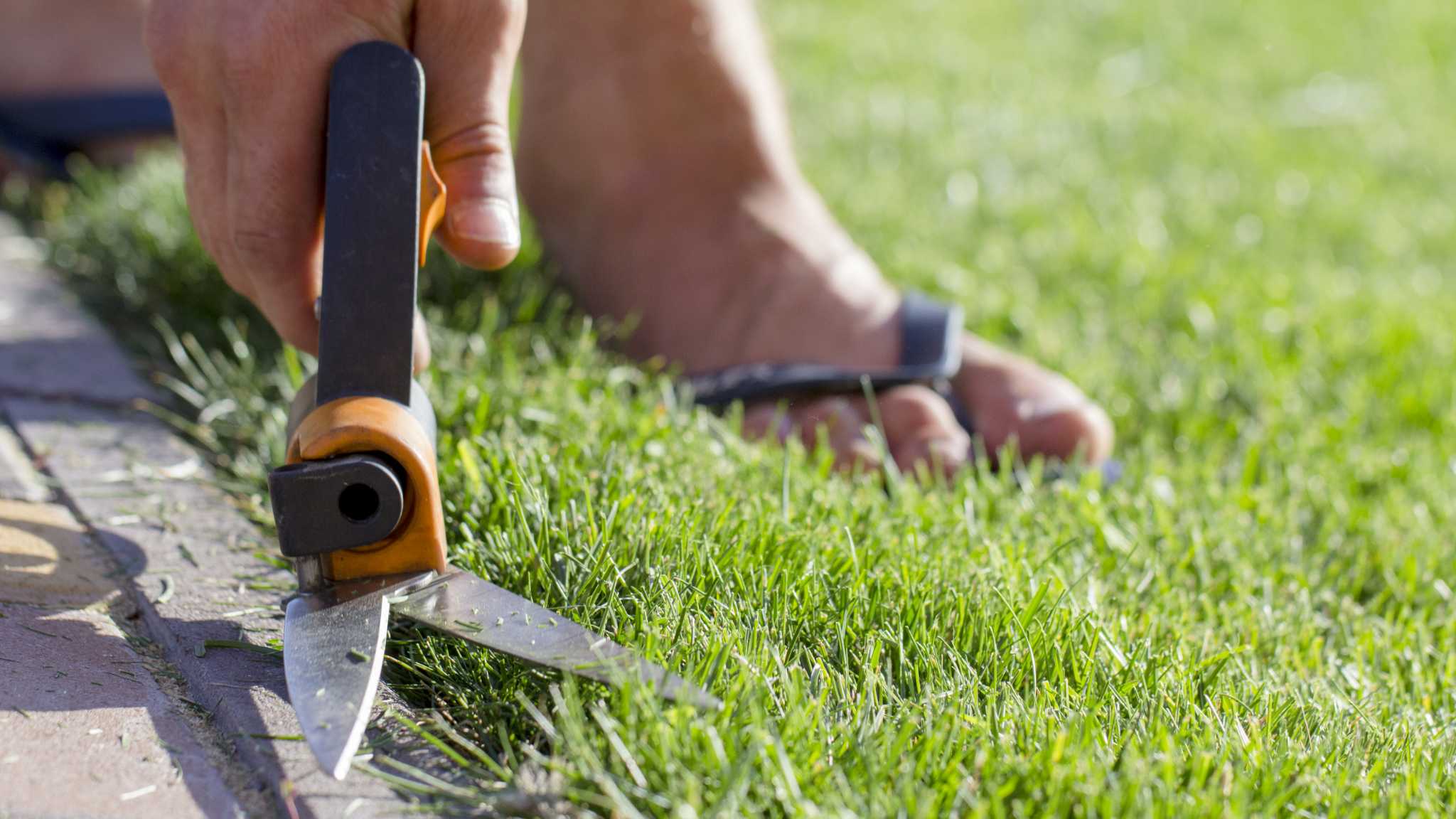 Cutting grass best sale by hand