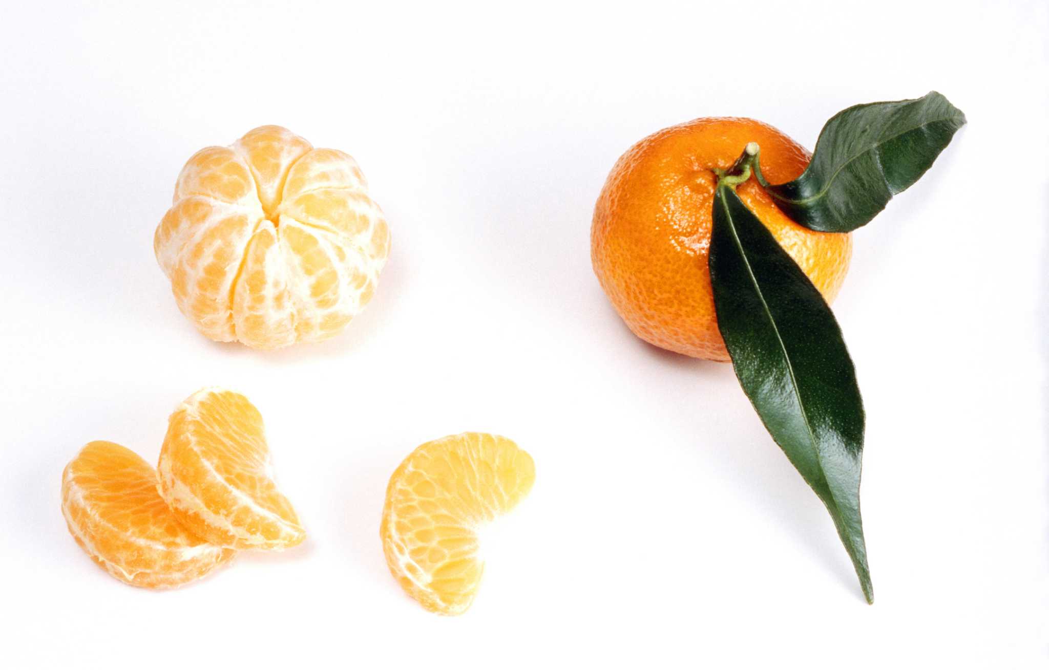 How to Grow Mandarin - Tangerine -- Harvest to Table