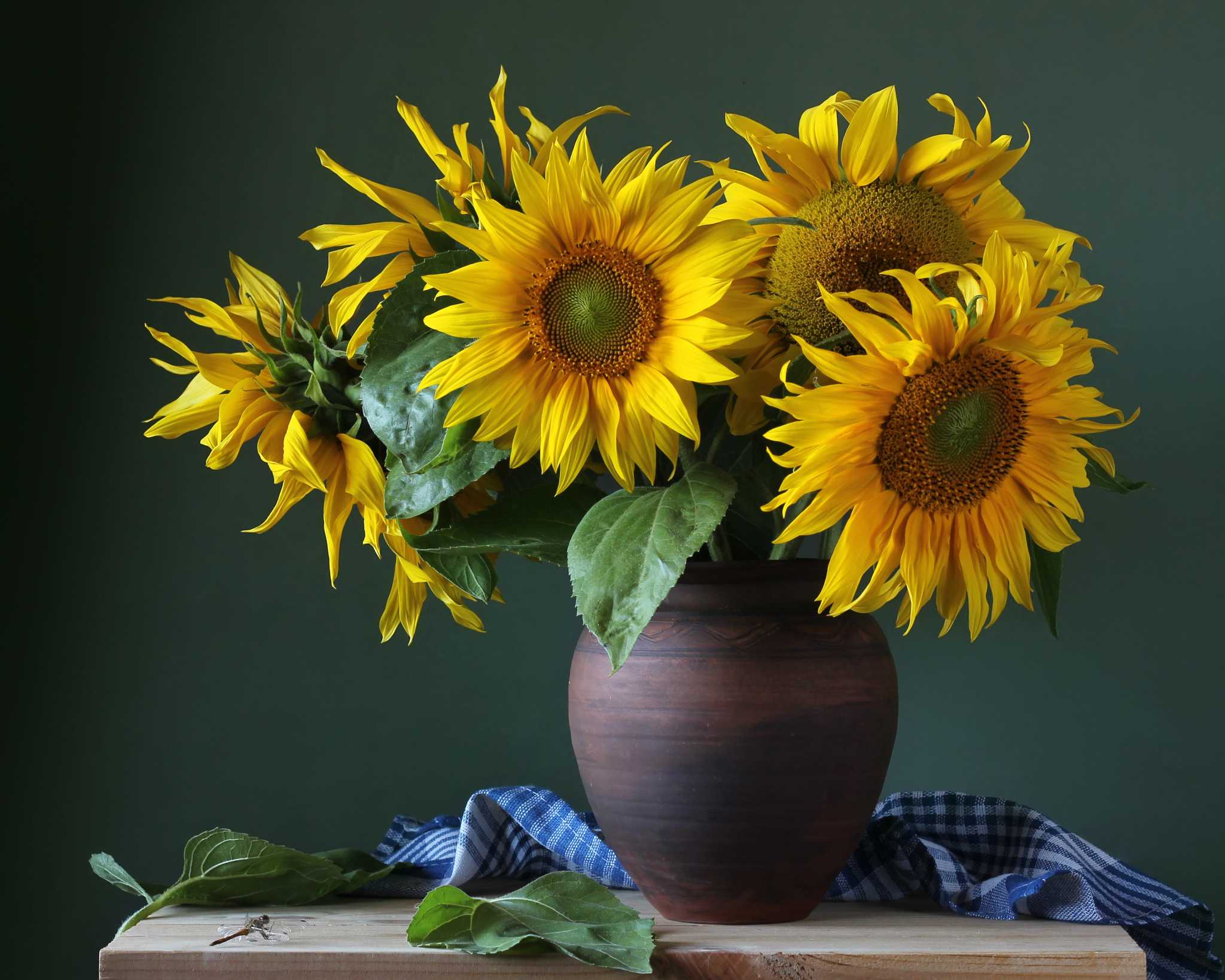 How To Cut Sunflowers To Put In A Vase
