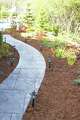 Wood mulch can improve the appearance and health of garden beds.
