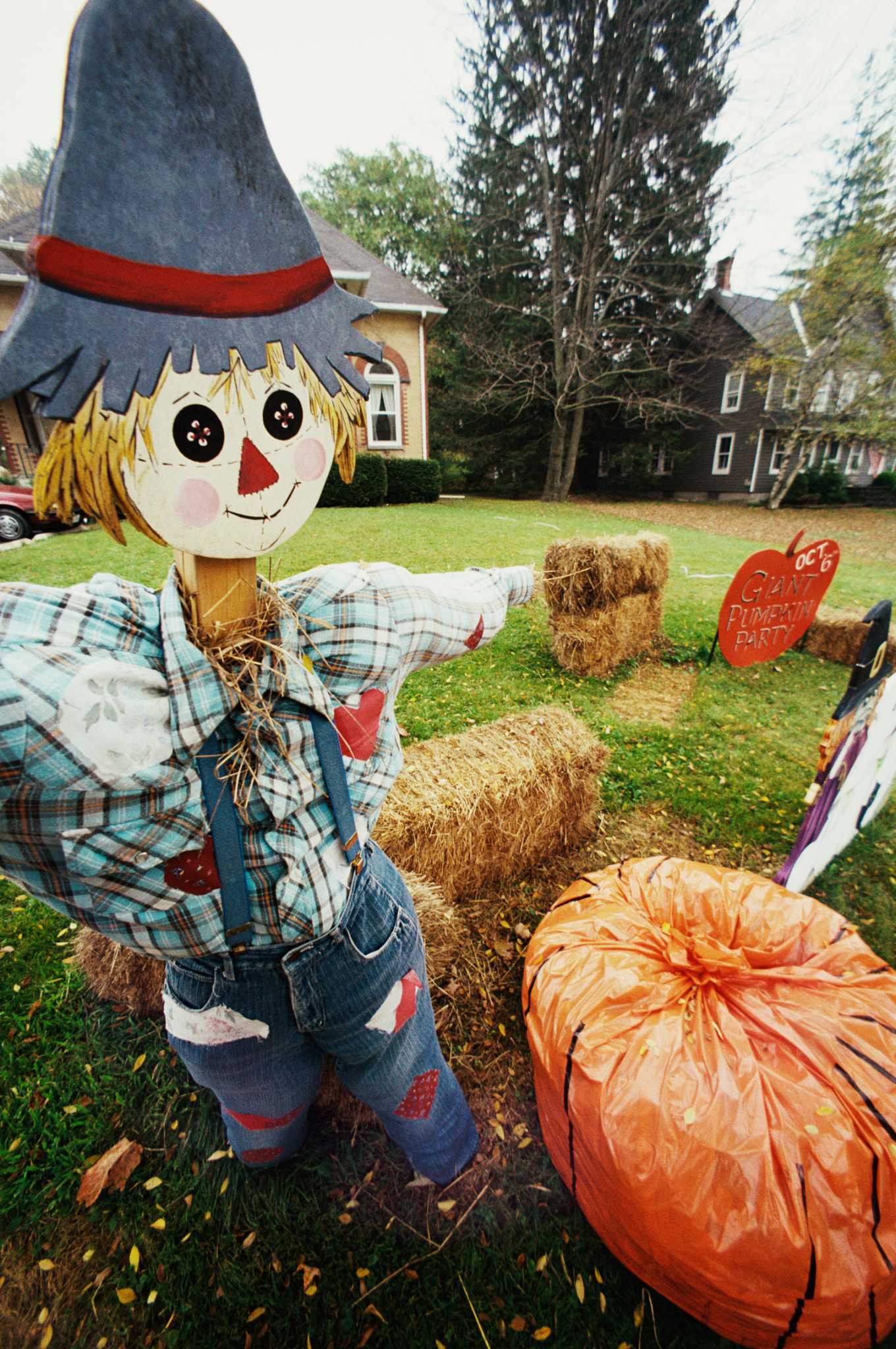 How to Decorate the Backyard for Halloween for Cheap