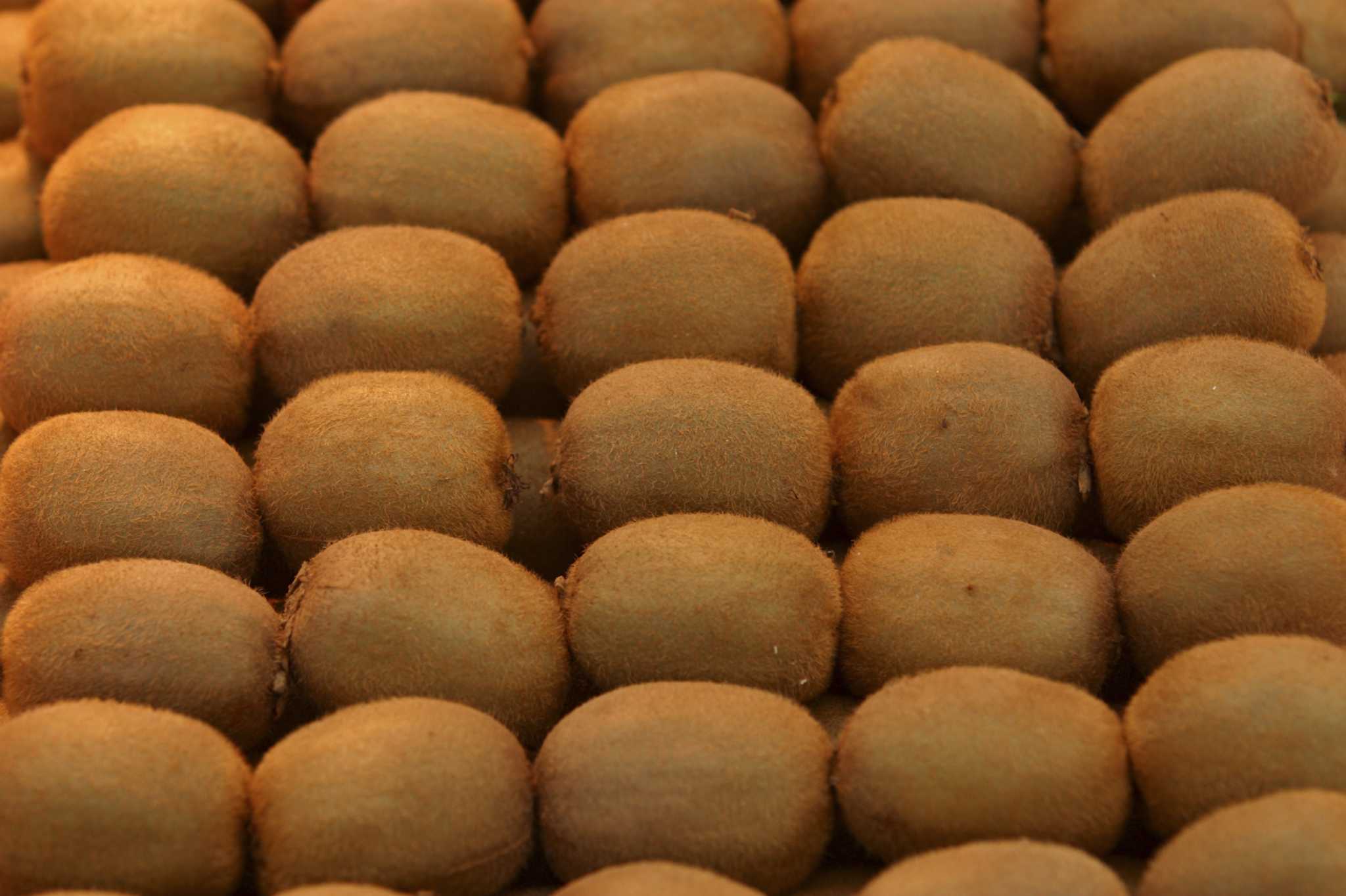 Do Deer Eat Kiwi Vines?