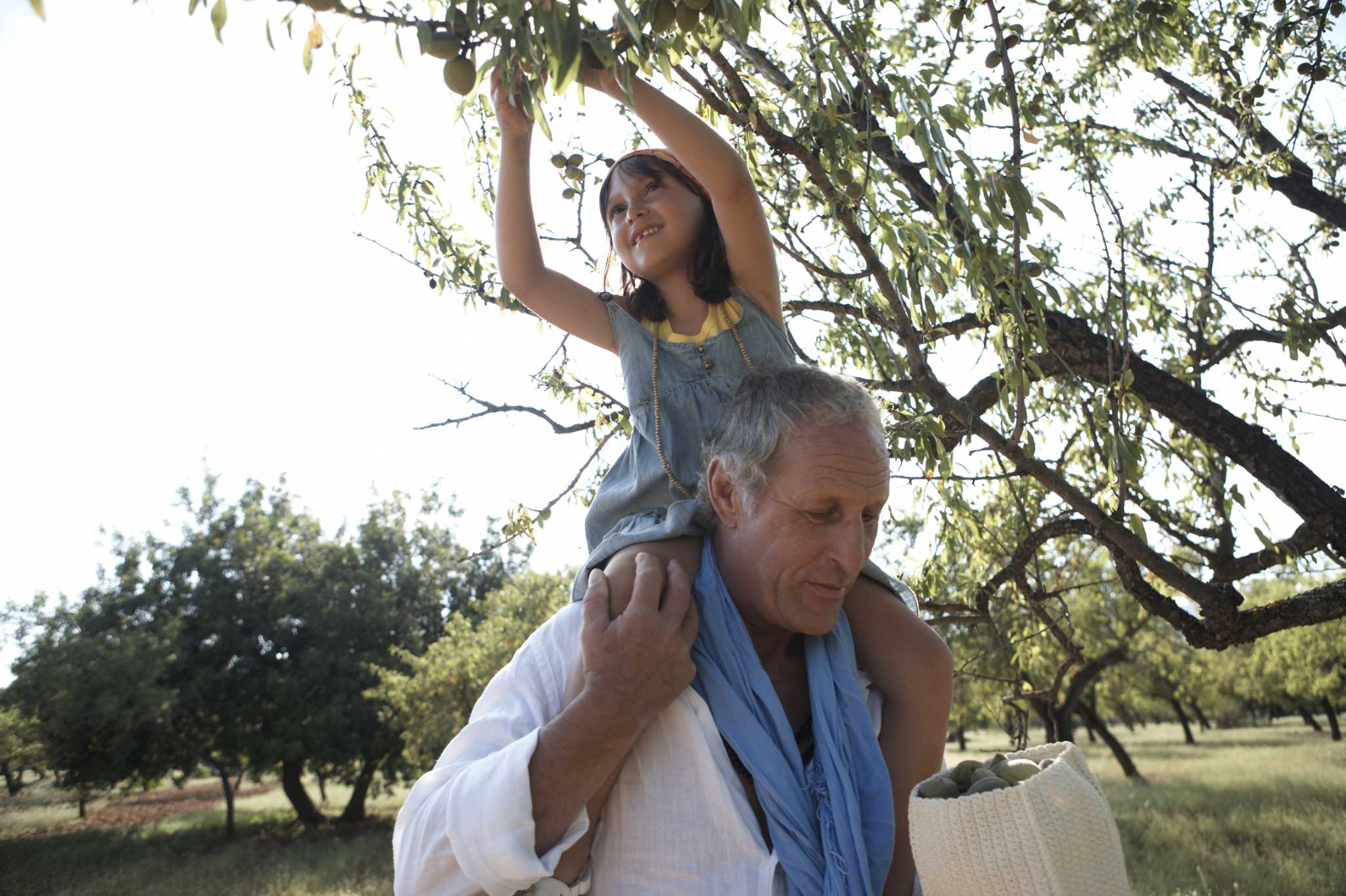 How to Grow Halls Hardy Almonds