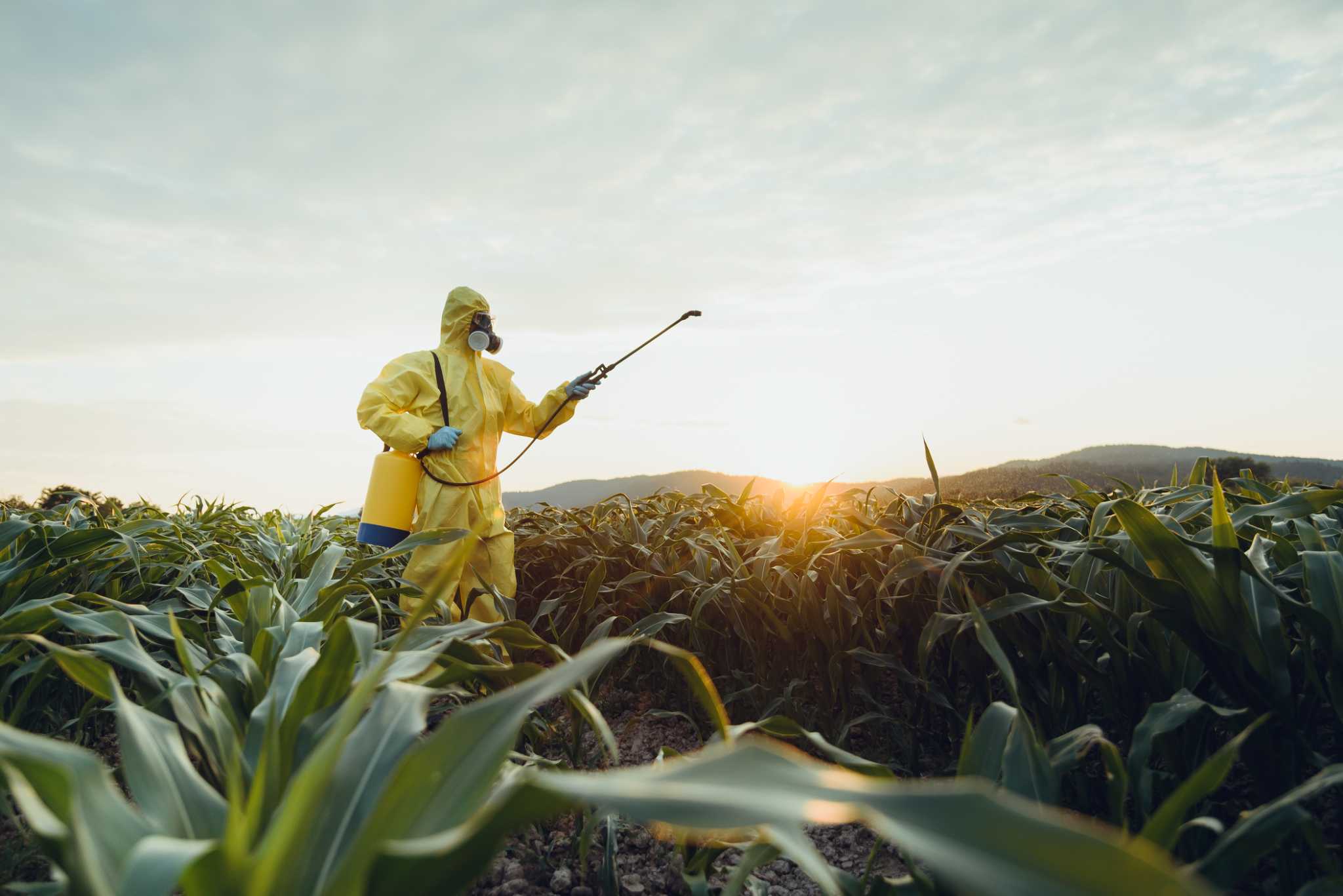 The Difference Between Herbicides, Fungicides & Pesticides