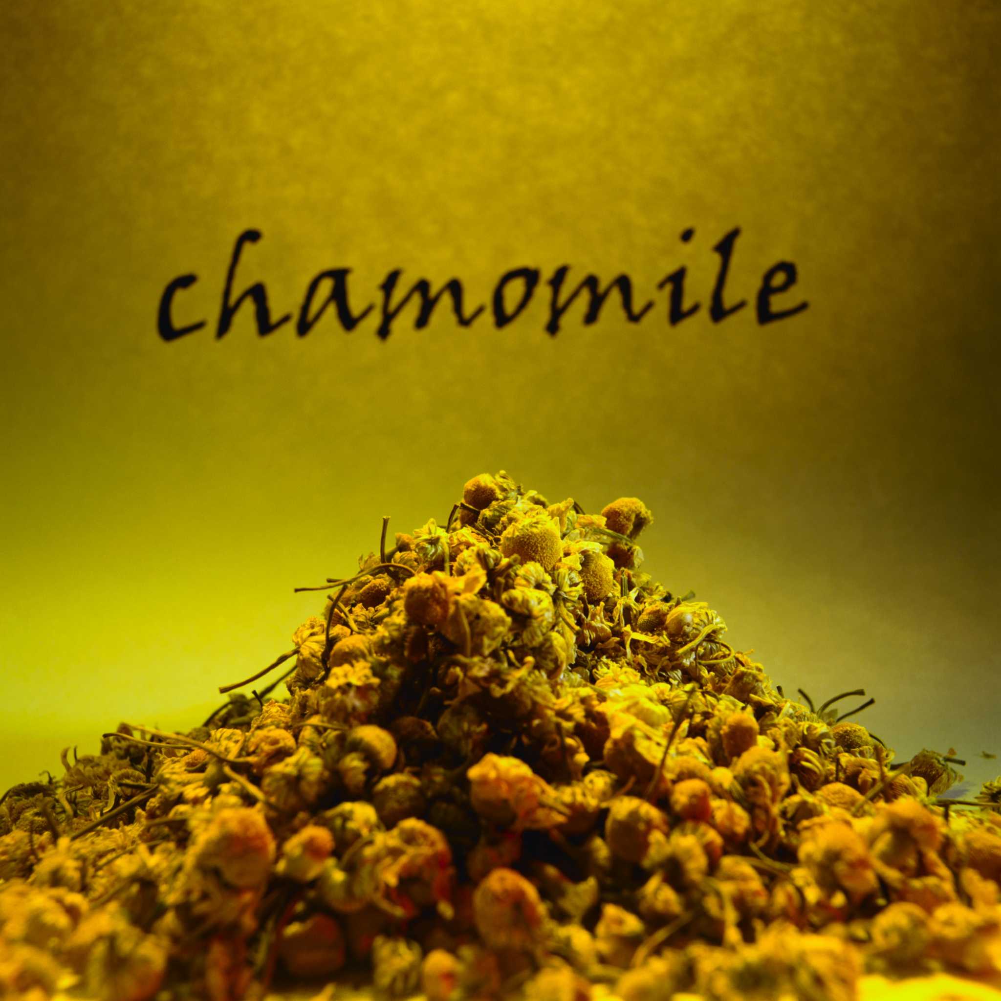What Is The Difference Between Roman And German Chamomile – KUNYPG