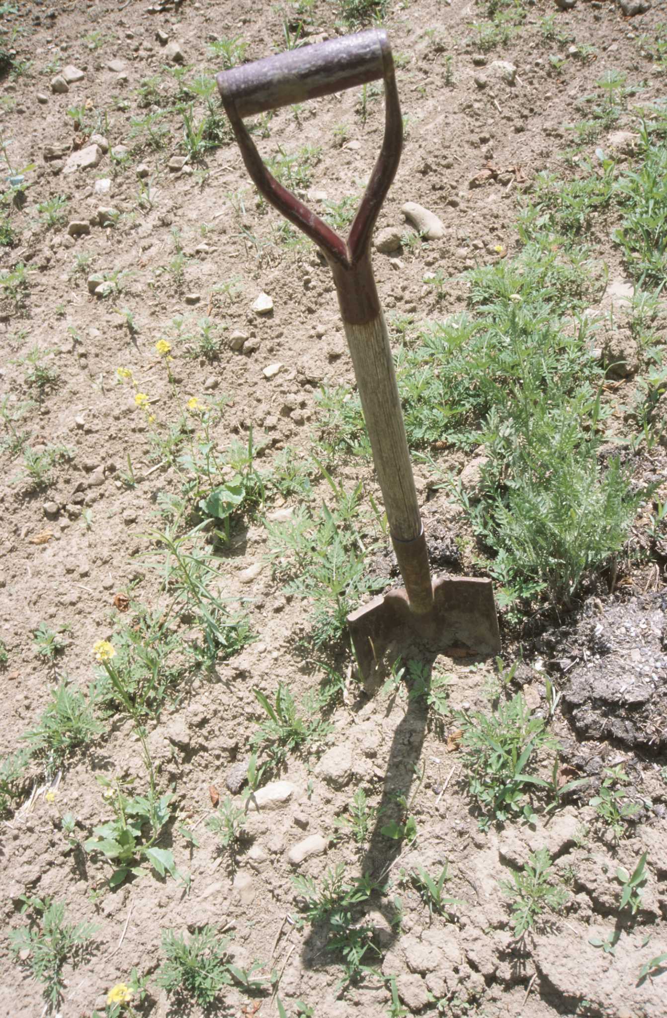 How to Remove a Broken Handle From a Shovel