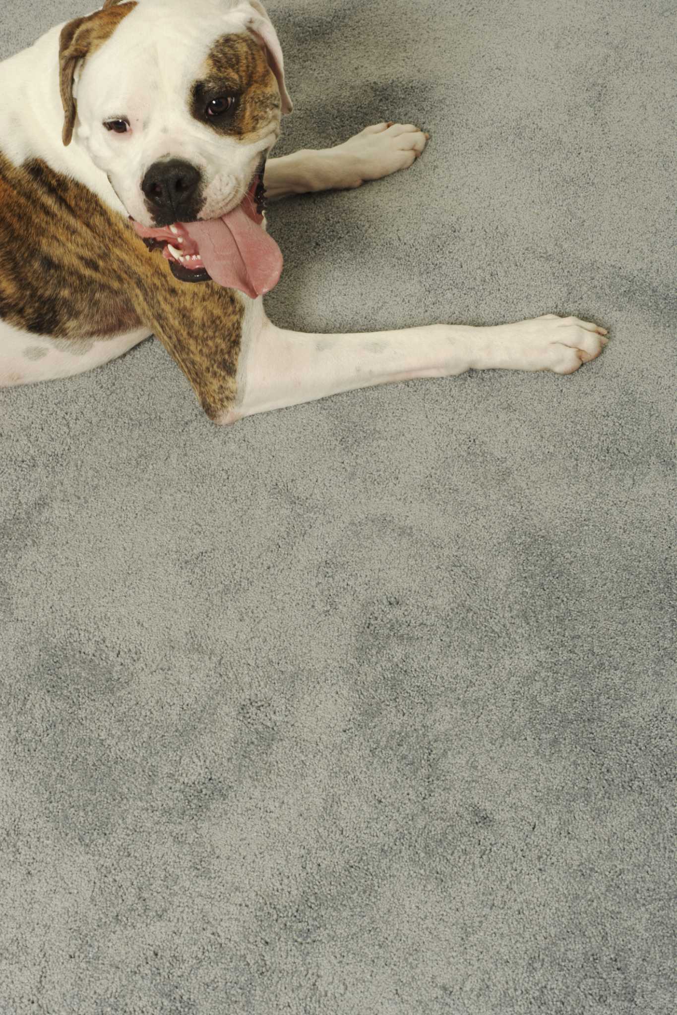 How to Get the Dingy Look Out of Your Carpet