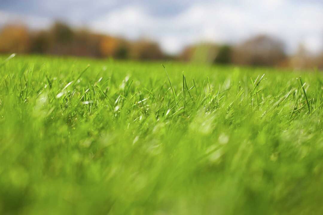 Should I Put More Topsoil on My Lawn Before Fertilizing?