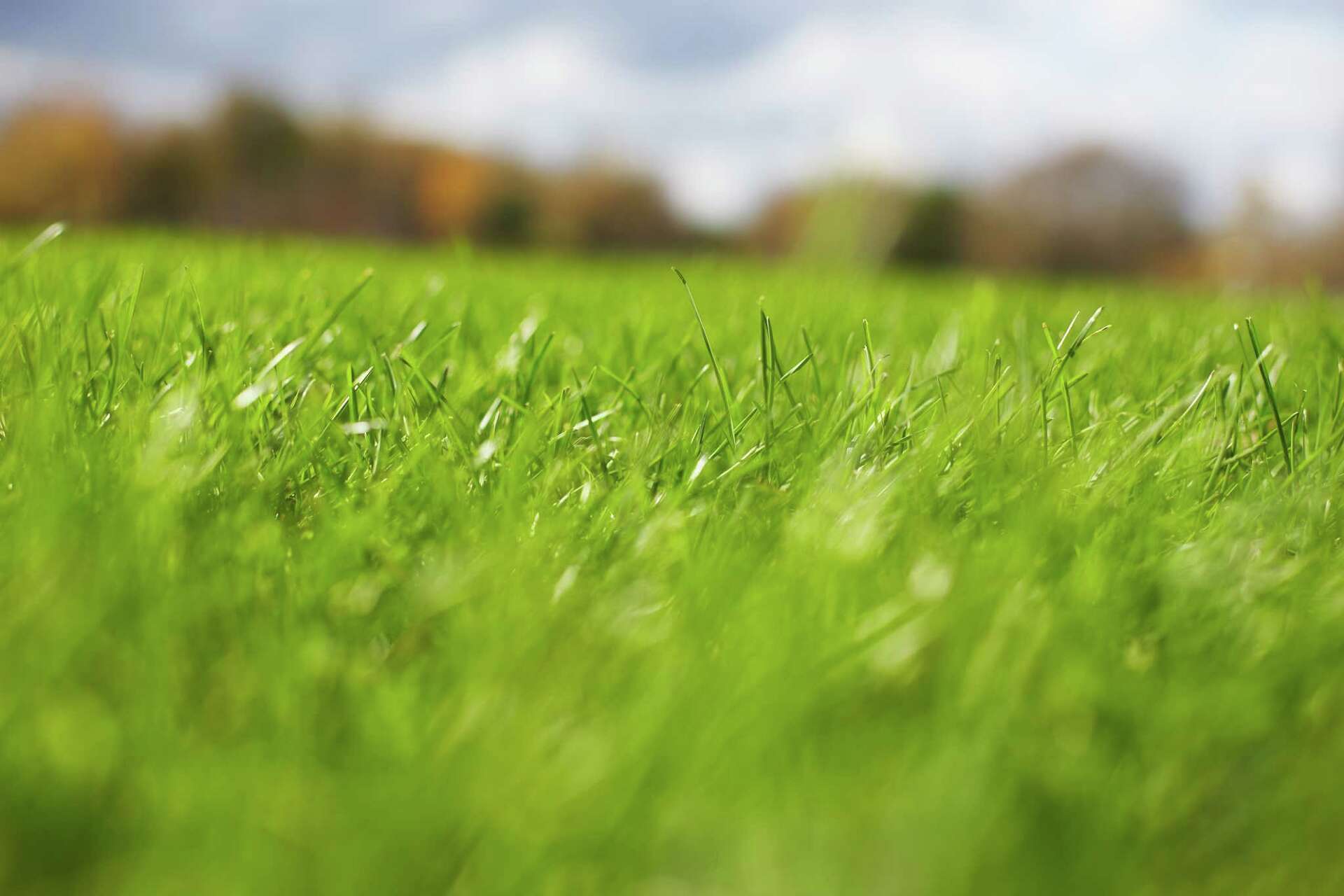 Should I Put More Topsoil on My Lawn Before Fertilizing?