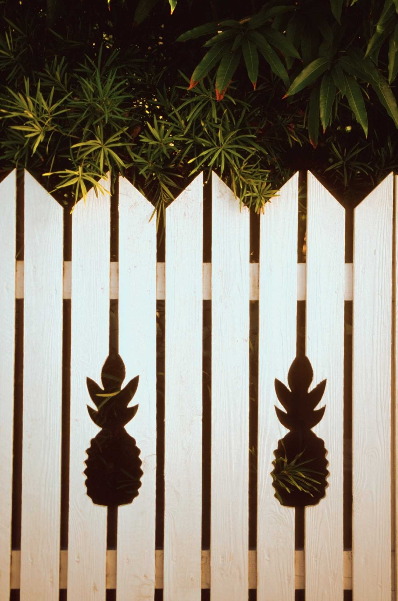 How to Disguise a Neighbor's Concrete Wall