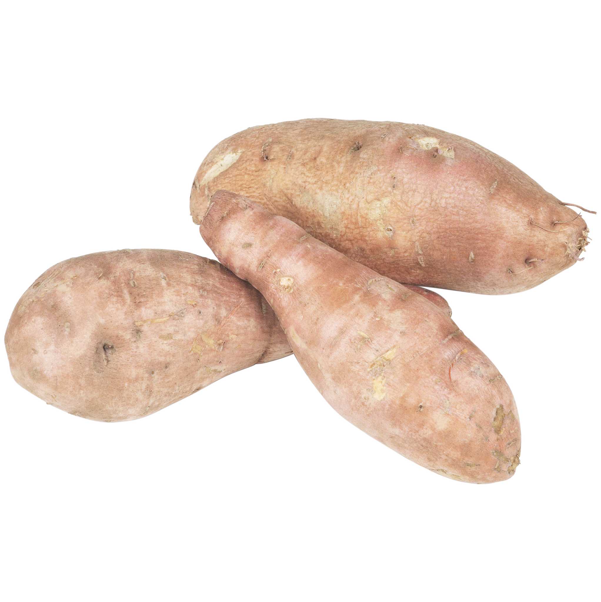 Yam Or Sweet Potato - How Do You Know Which Is Which? - Farmers' Almanac -  Plan Your Day. Grow Your Life.