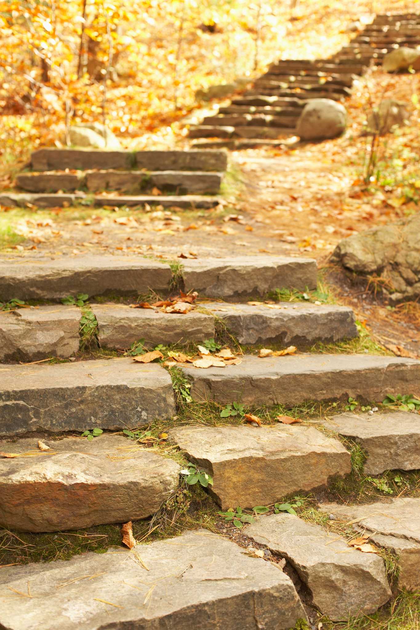 How to Use Rocks in Landscaping & Building Stairs