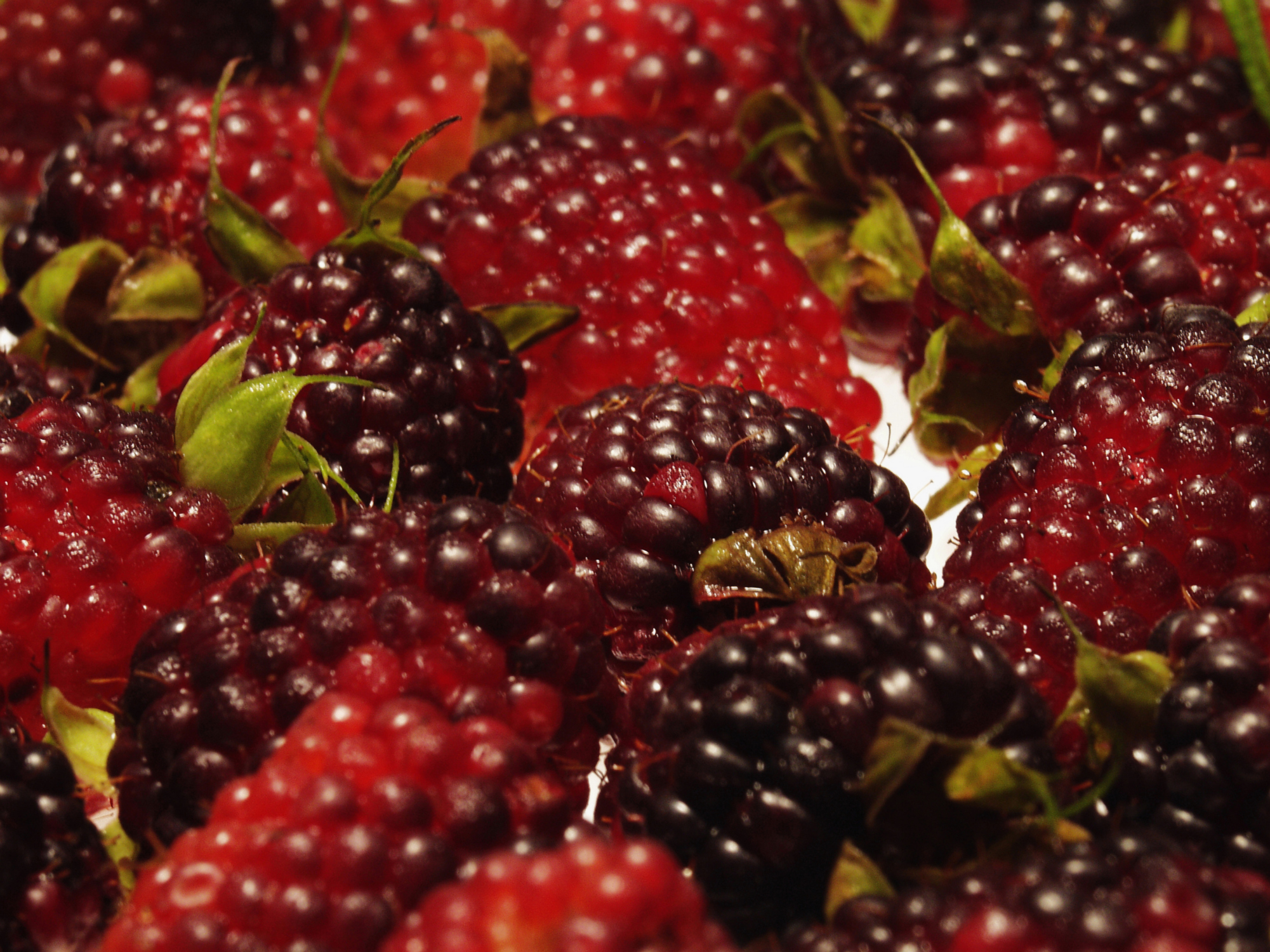 Why Don't My Blackberries Ripen